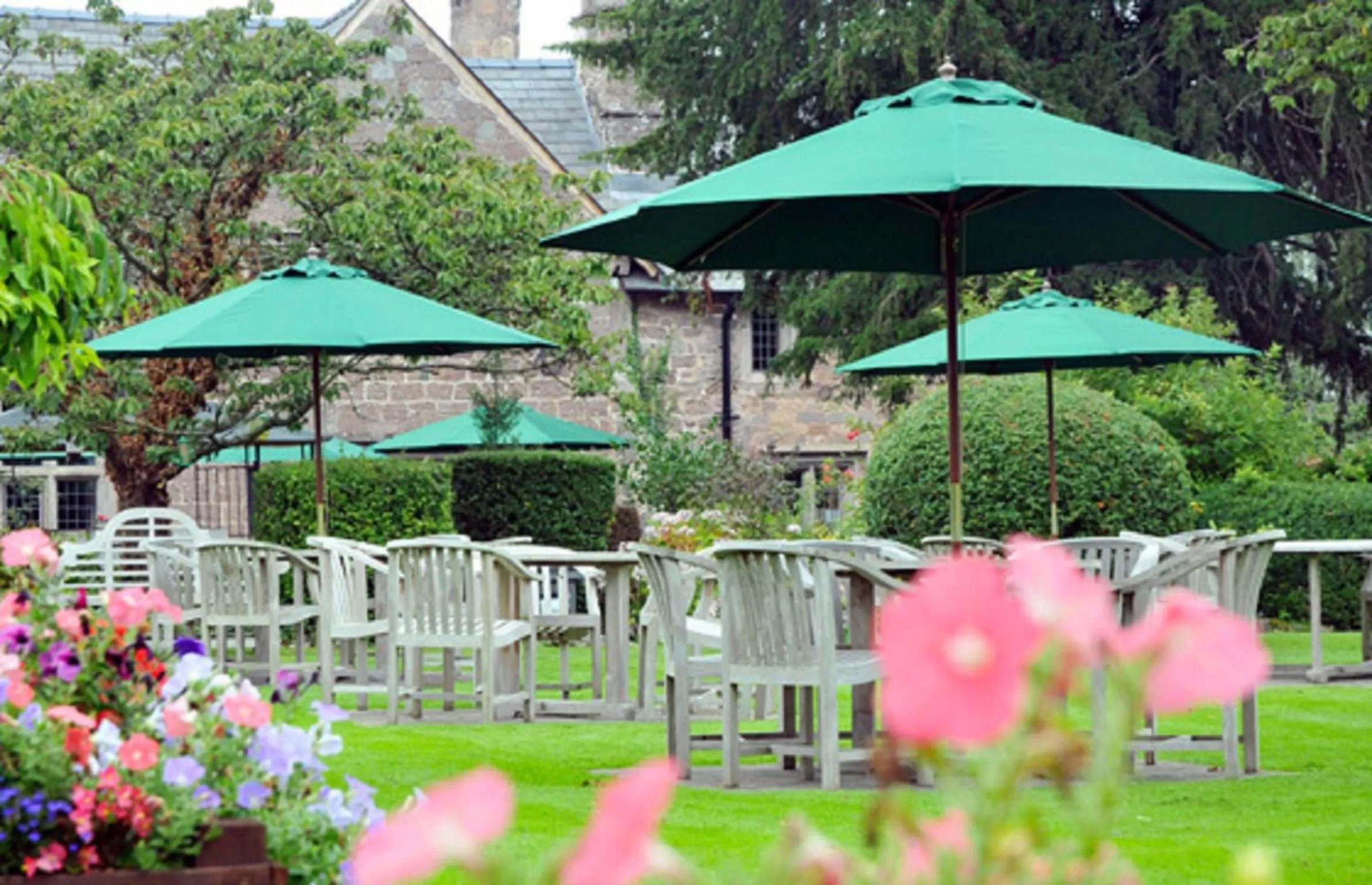 Garden in Old Court Hotel & Apartments