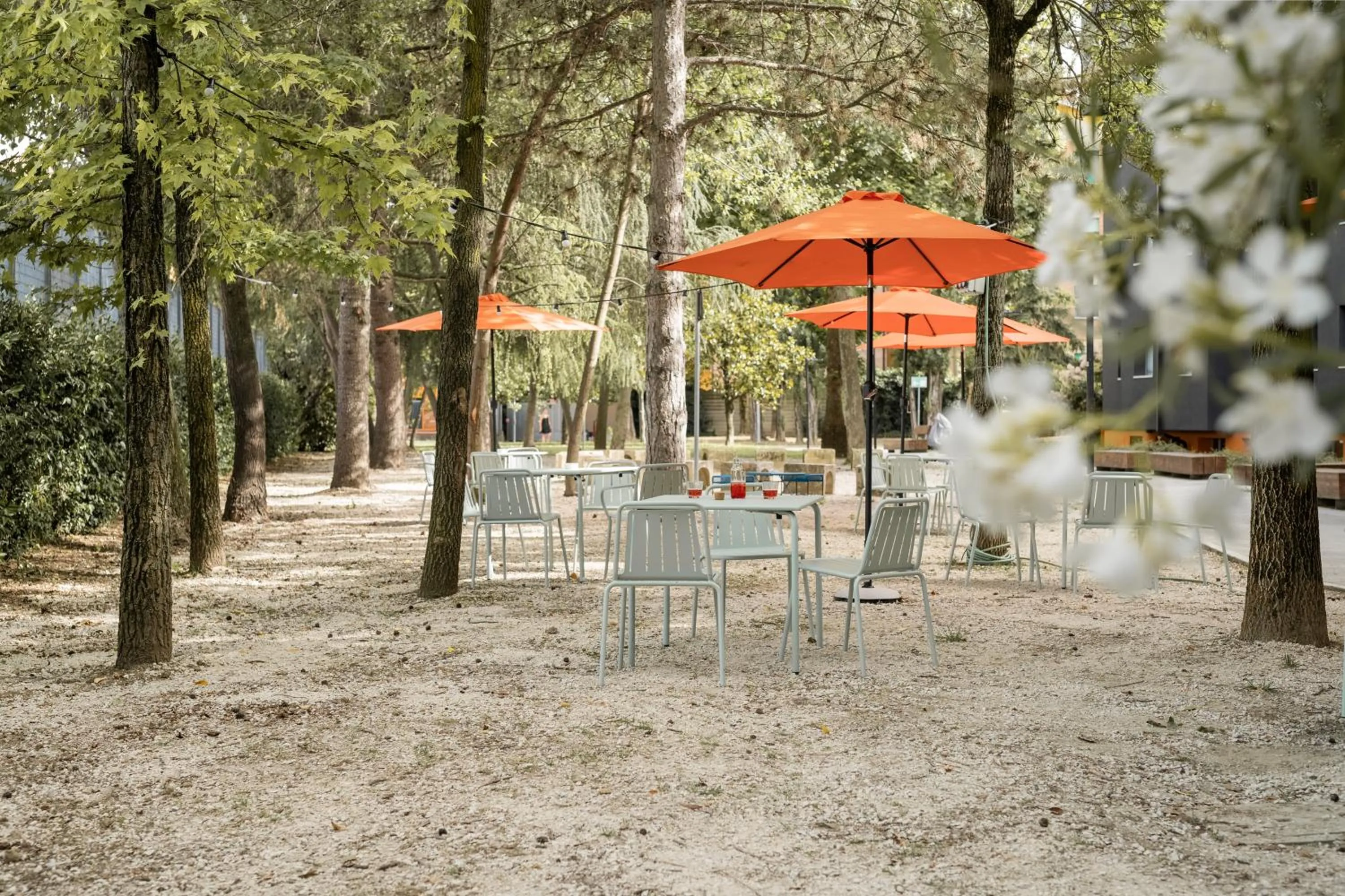 Garden in Combo Bologna