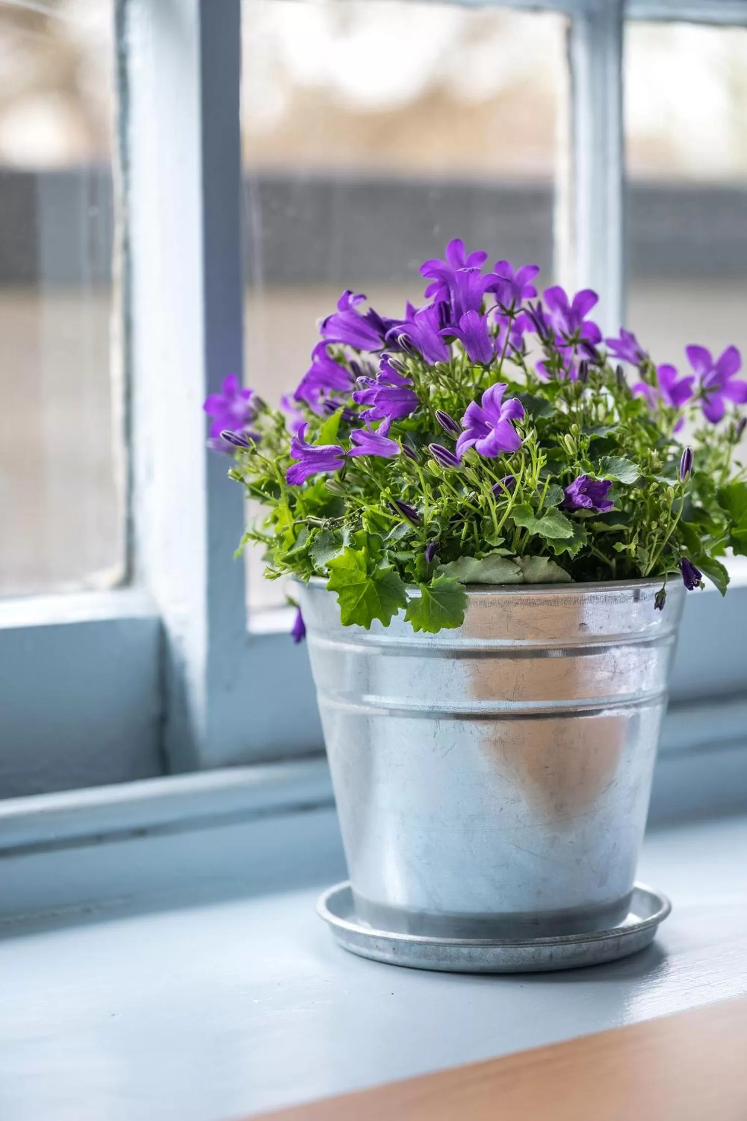 Decorative detail in The Carpenters Arms