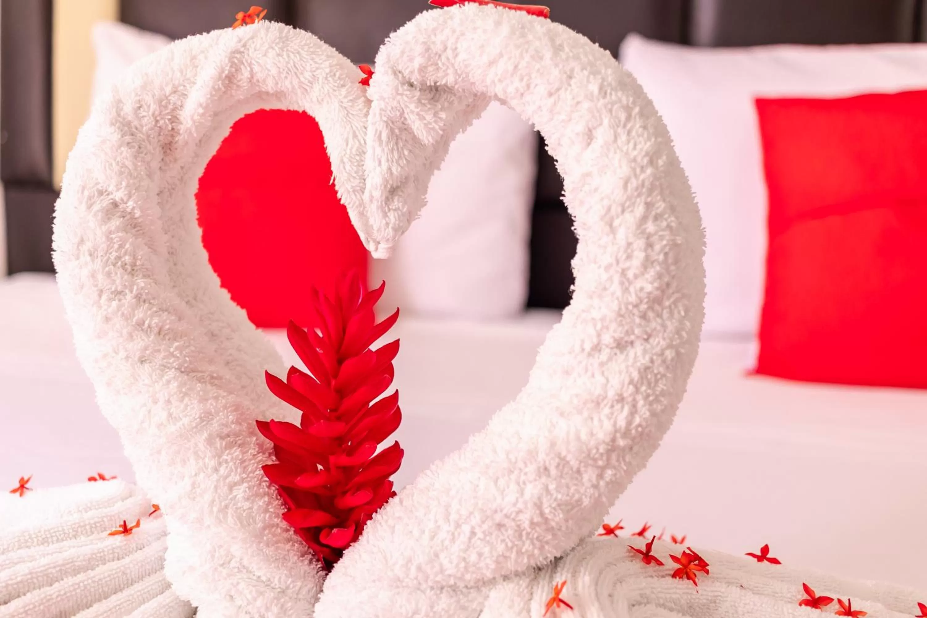 Decorative detail in Hotel Bello Caribe Express