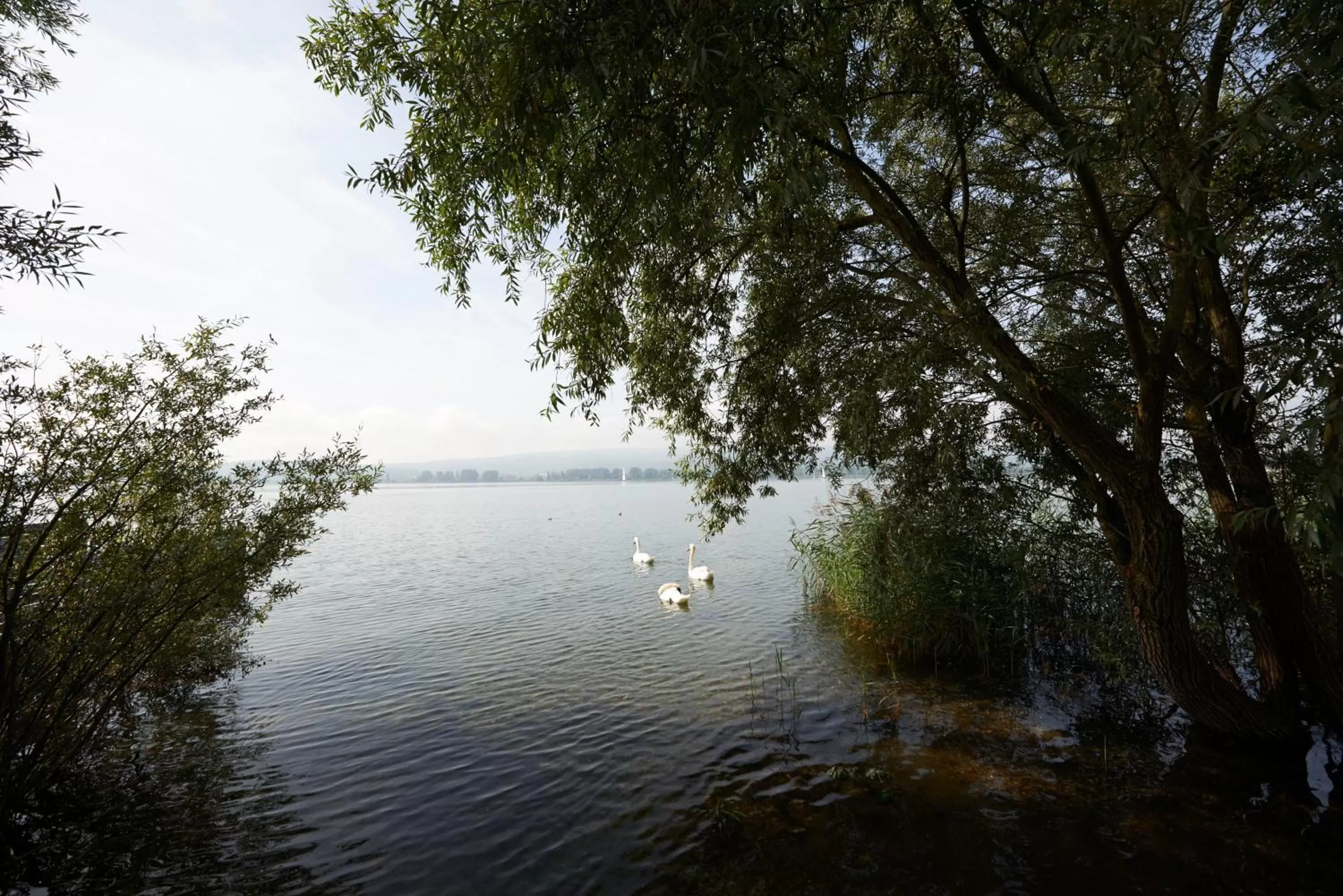 Area and facilities in Hotel Bora HotSpaResort