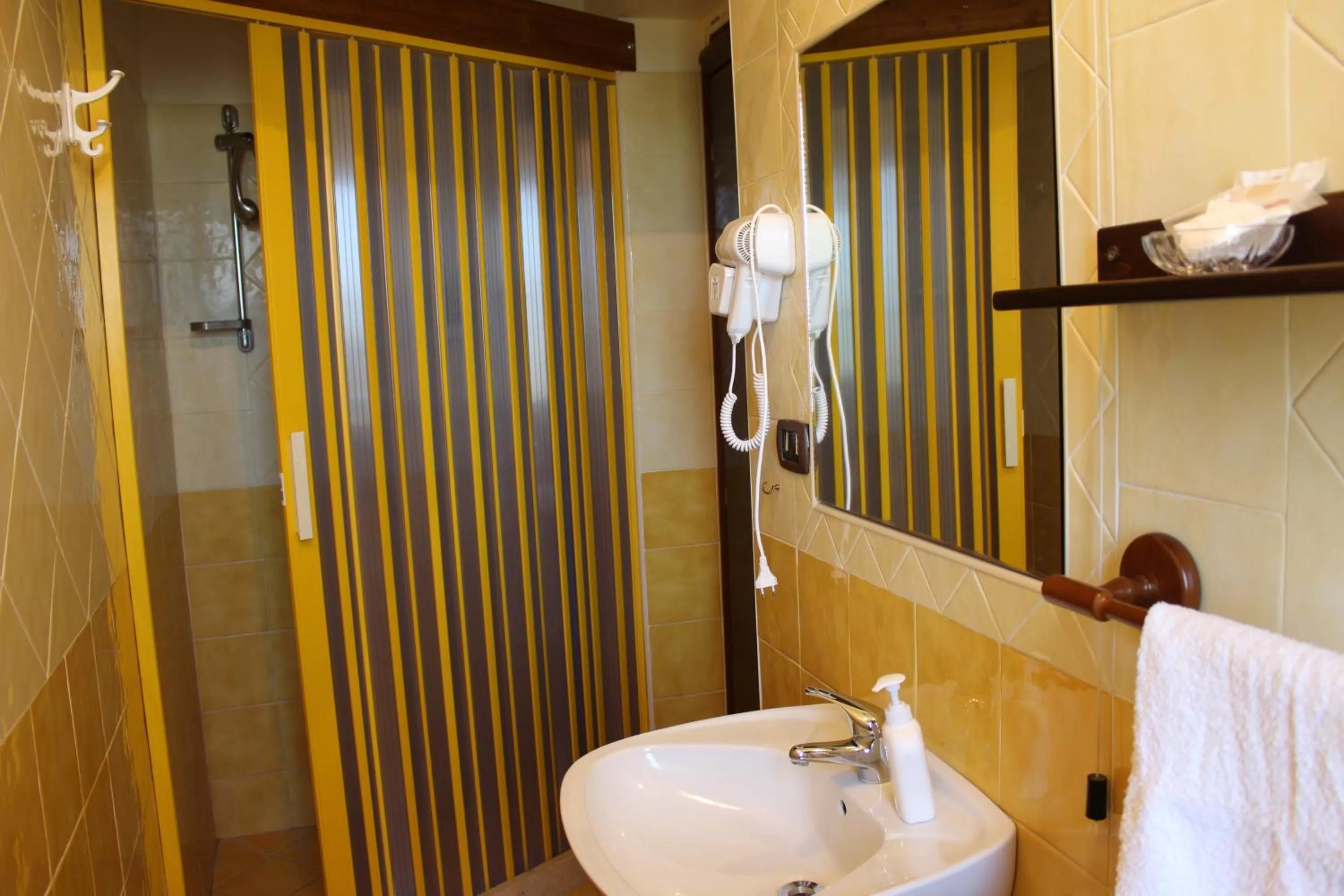 Shower in B&B La Vigna