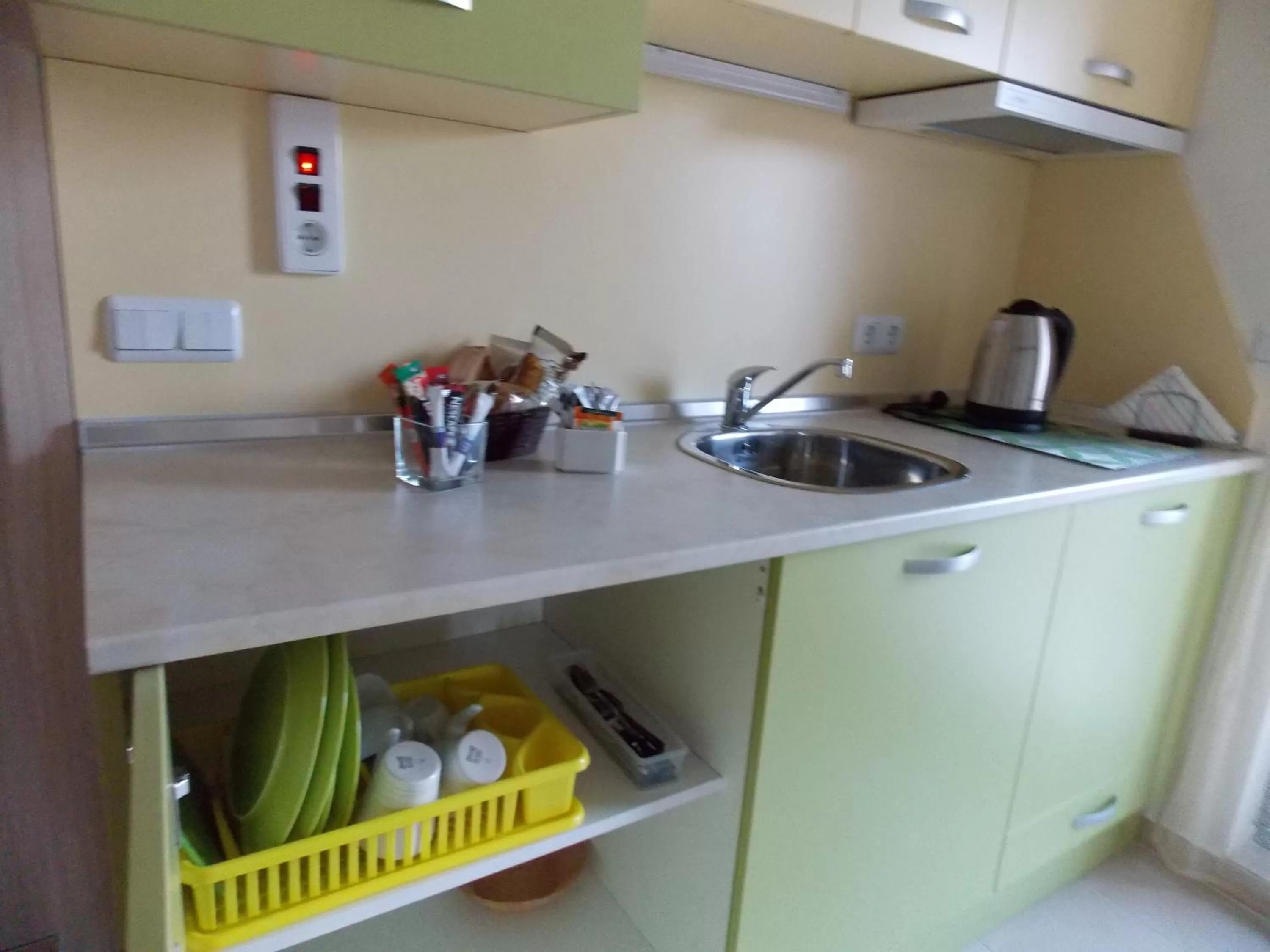 Kitchen or kitchenette in Apart Hotel Rosen