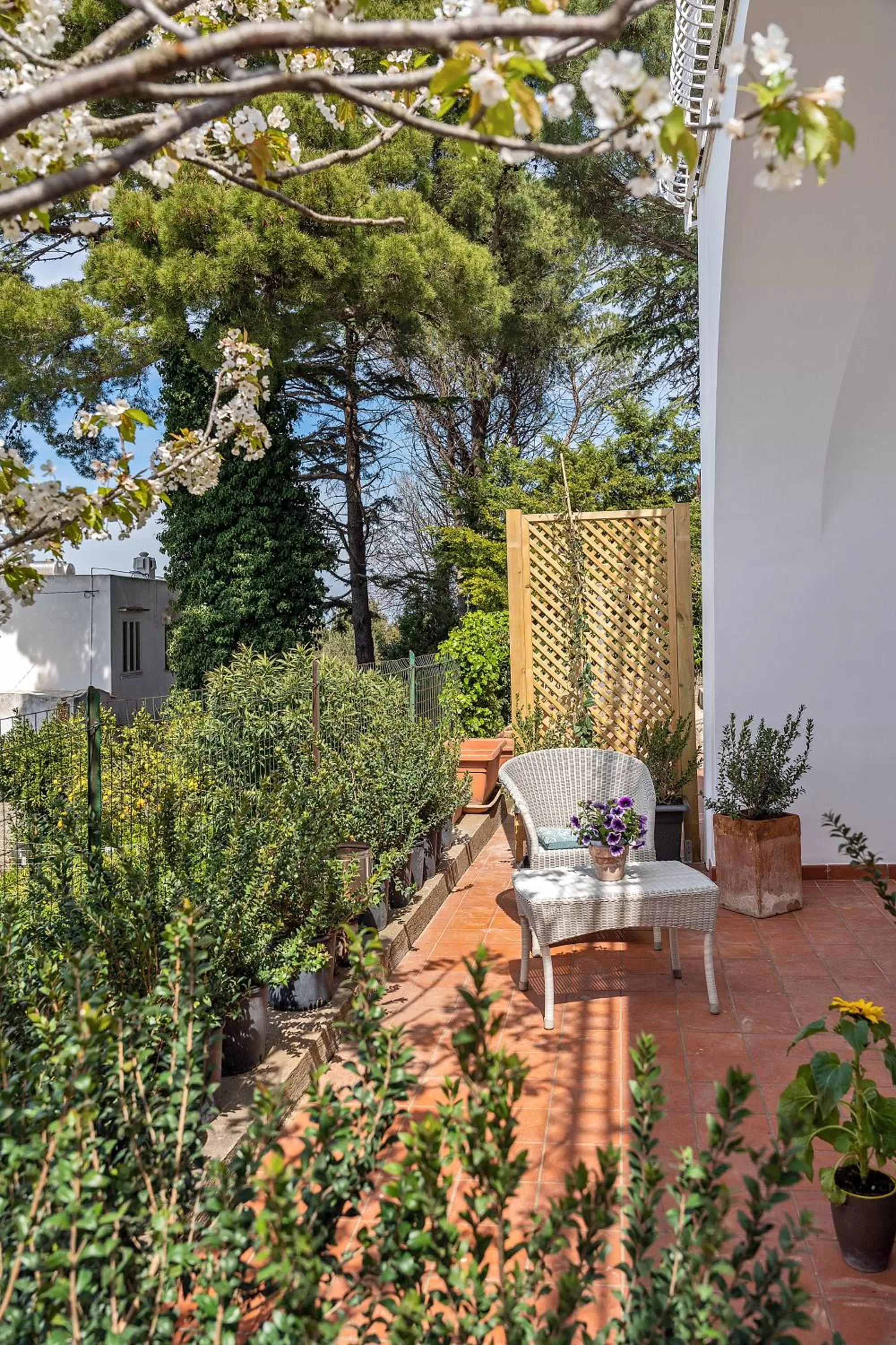 Patio in B&B Il Sogno