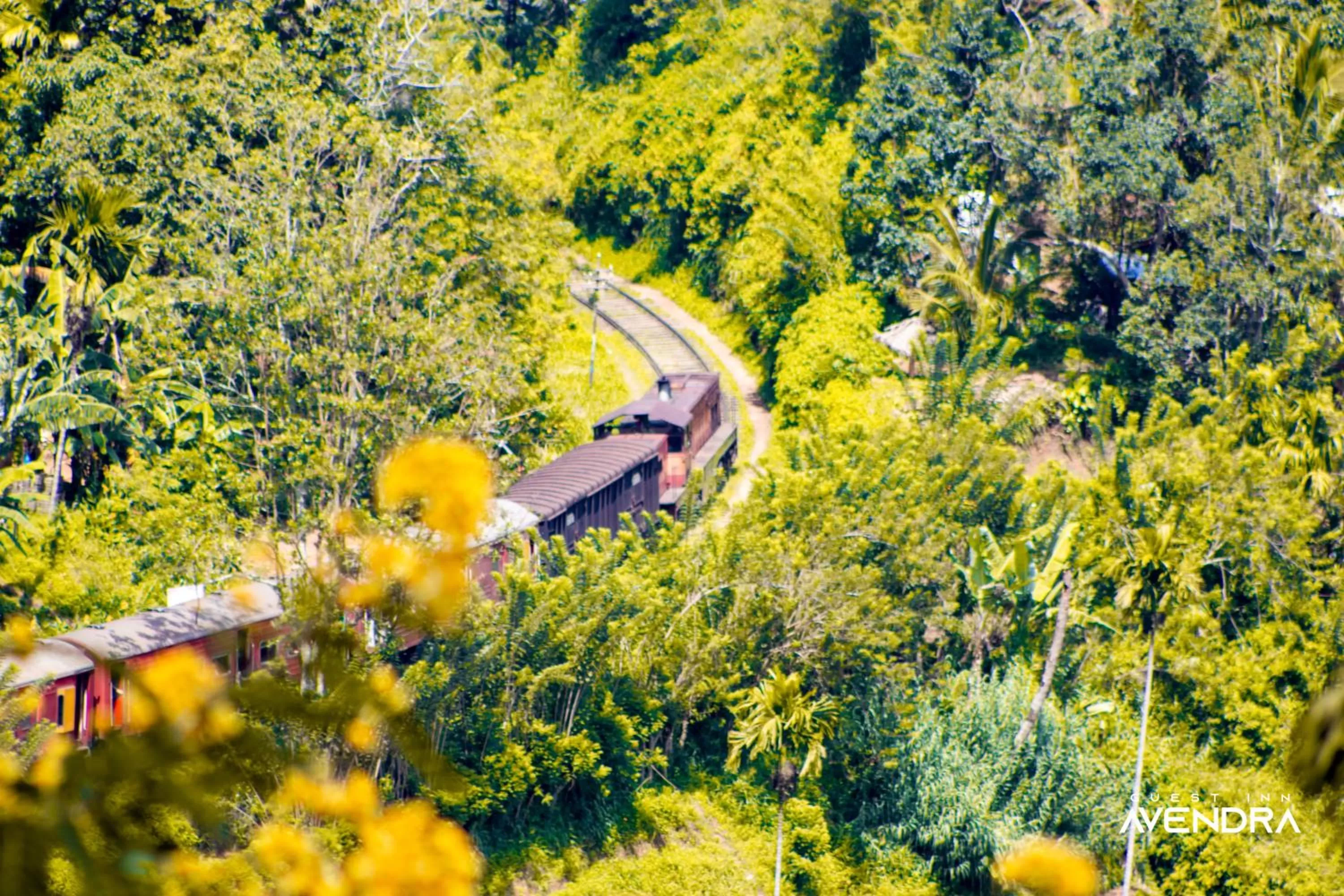 Day in Guest Inn Avendra