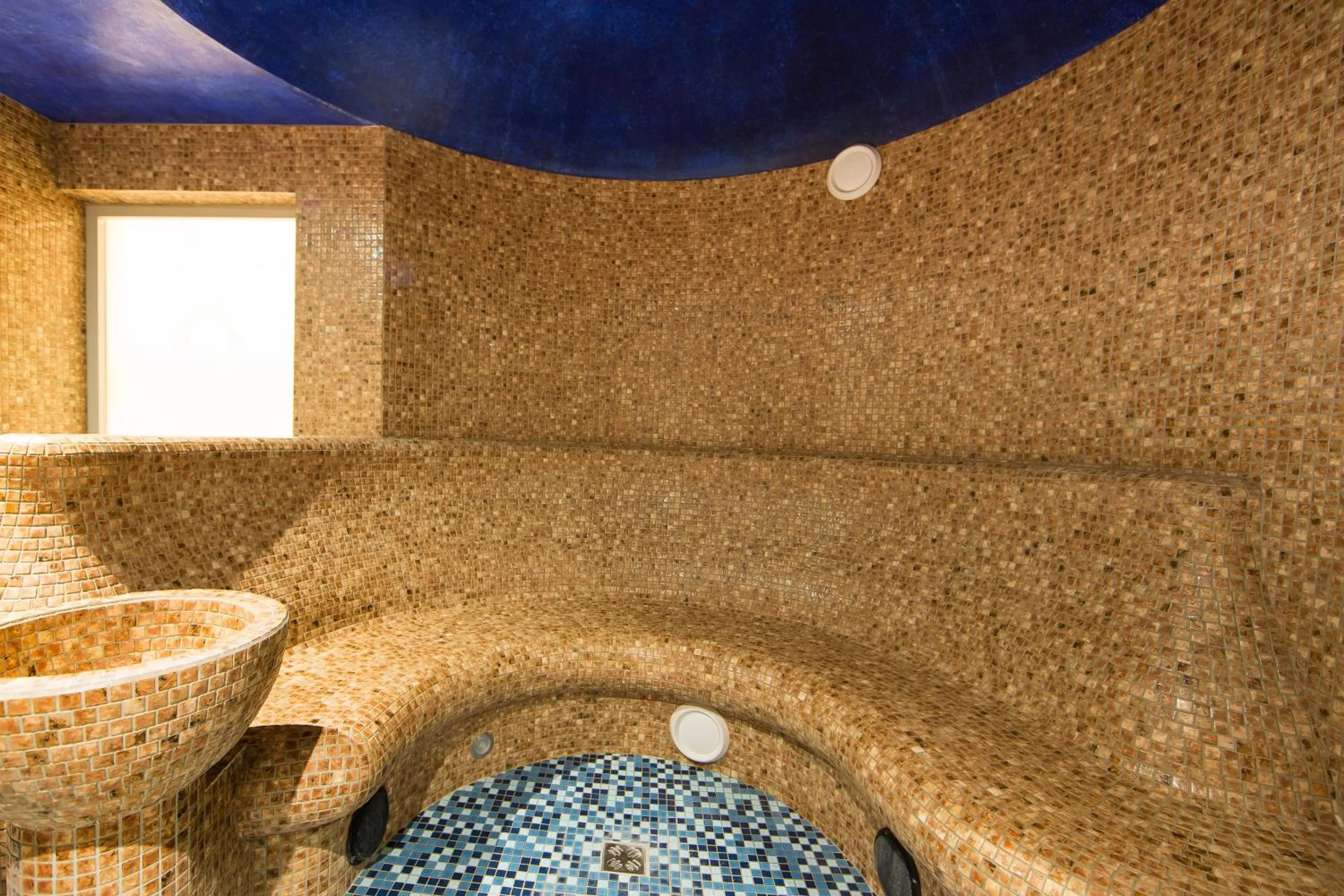 Swimming pool in Hotel Król Kazimierz