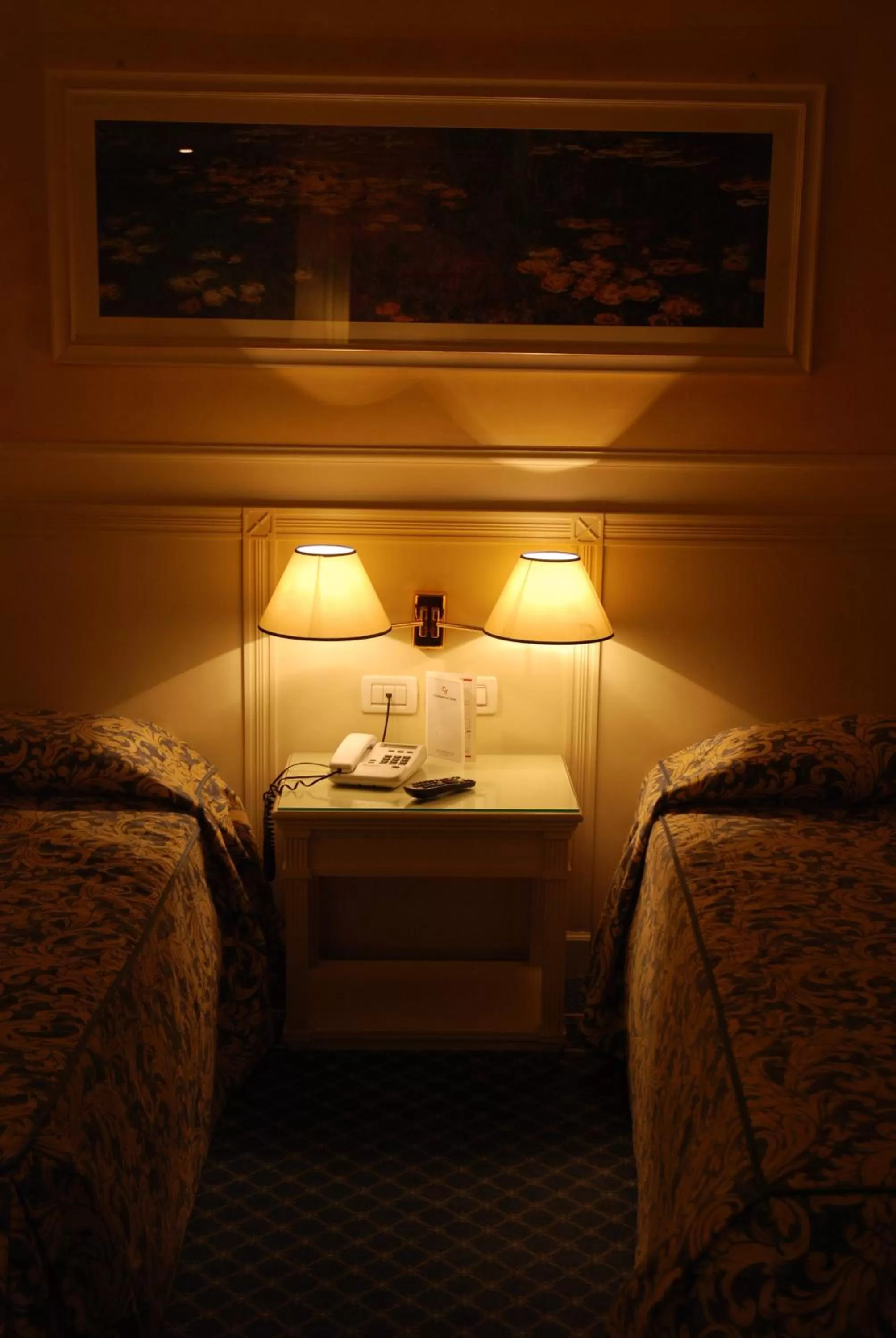 Photo of the whole room in Hotel Continental Brescia