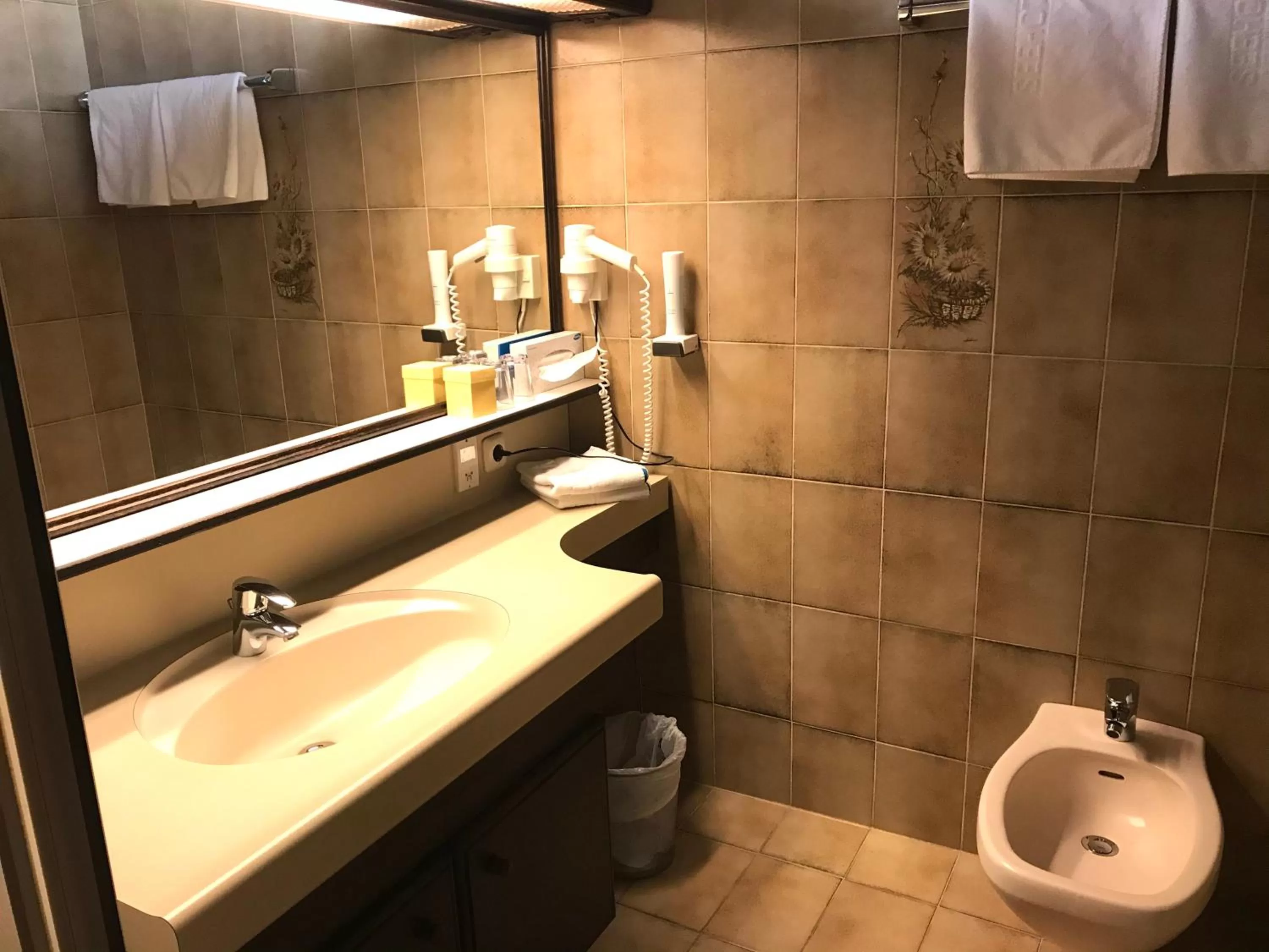 Toilet in Seehotel Schwan