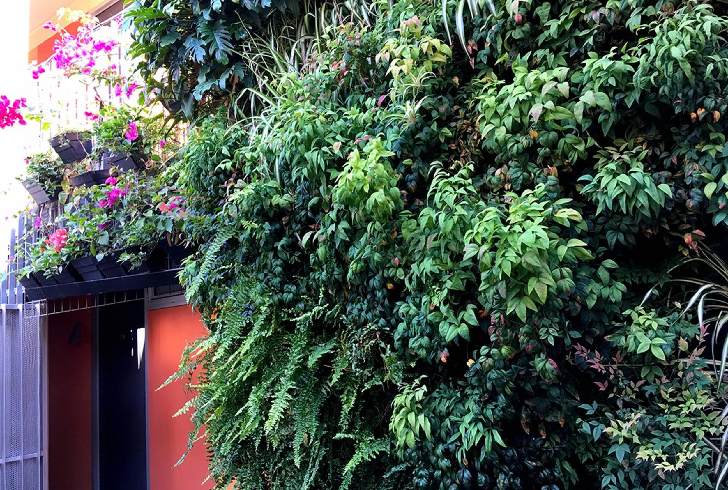 Original Backpackers