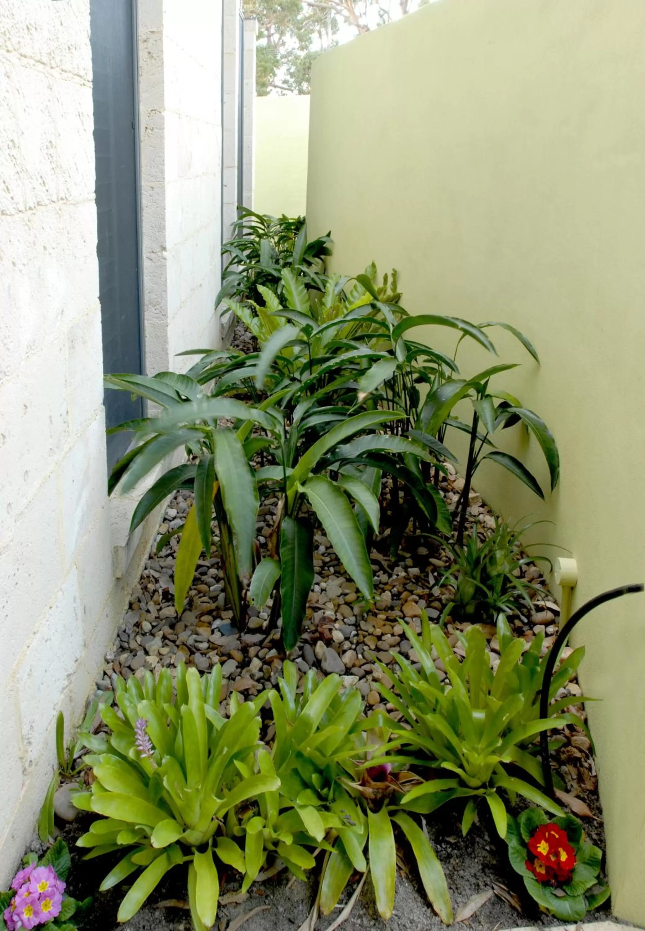 Garden in By the Beach B&B Self Contained Apartments