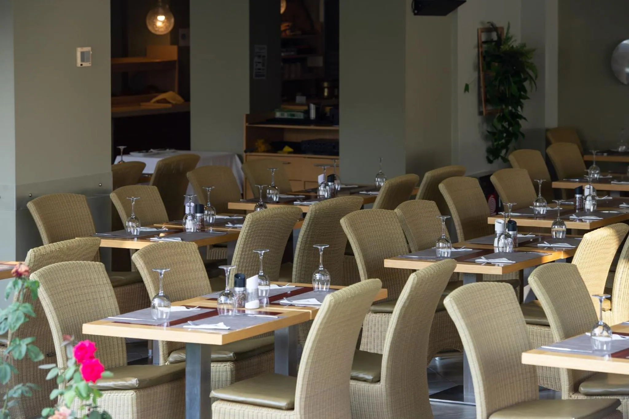 Restaurant/places to eat in Flegra Palace