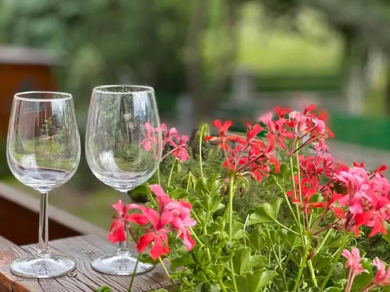 Day in Hotel Paradiesquelle