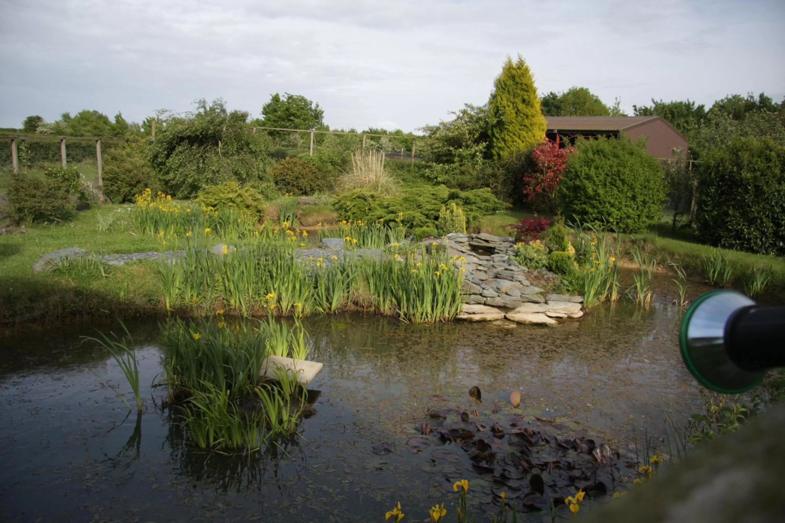 Garden in Pointers Guest House