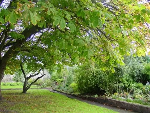 Other in Lossiemouth House