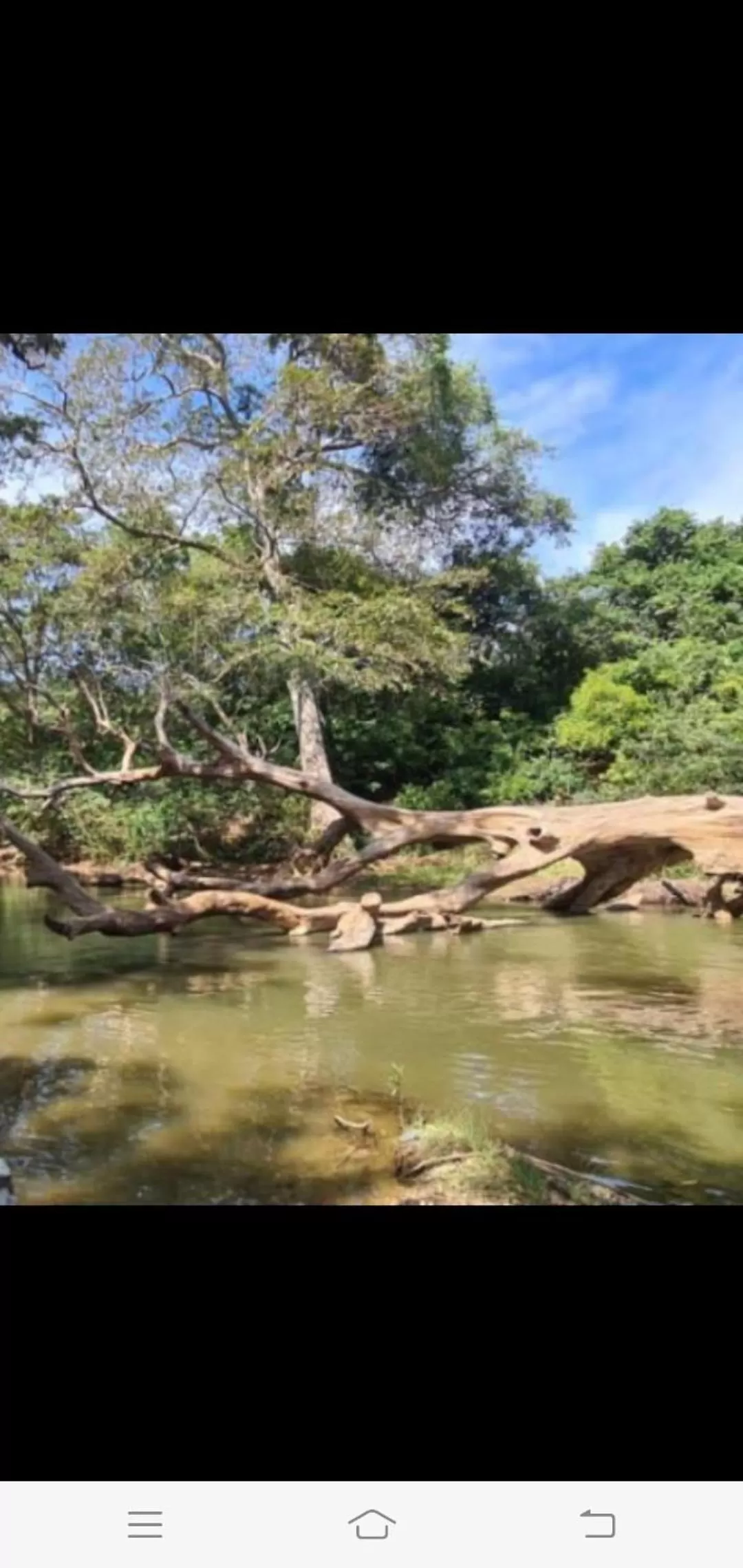 Jungle river humbhaha hostel