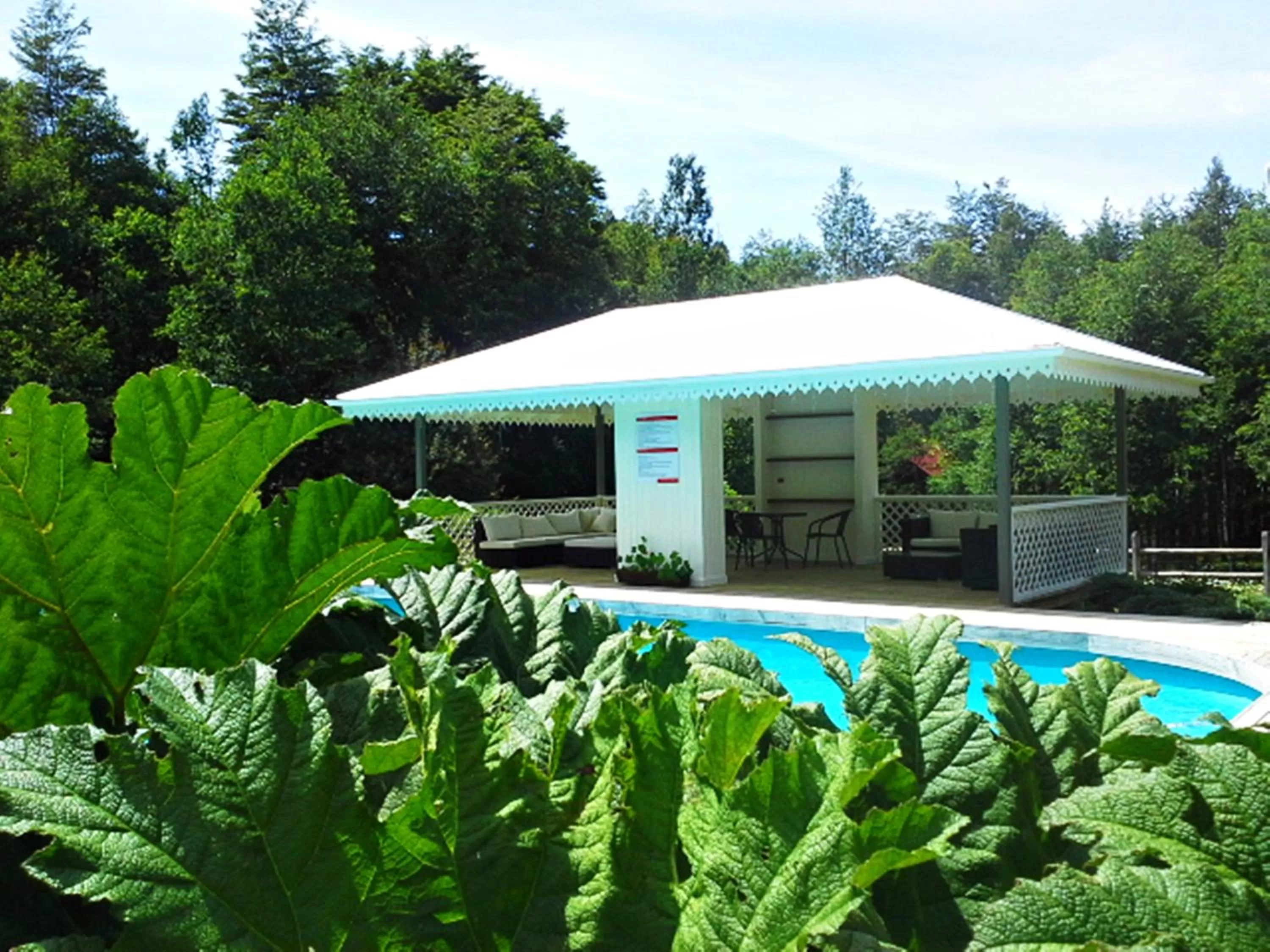 Patio, Swimming Pool in Hotel Salto del Carileufu