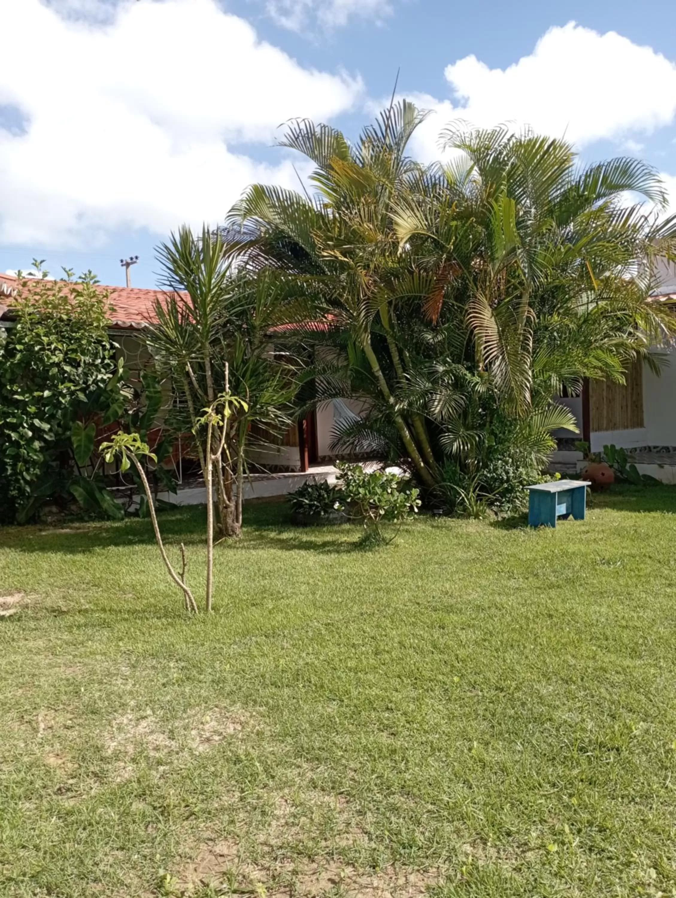 Garden in Pousada Casa Do Cocotier