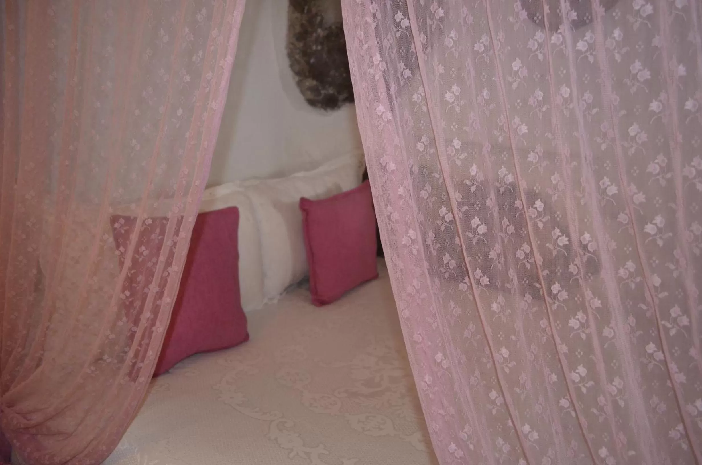 bunk bed, Bed in Dar Meziana