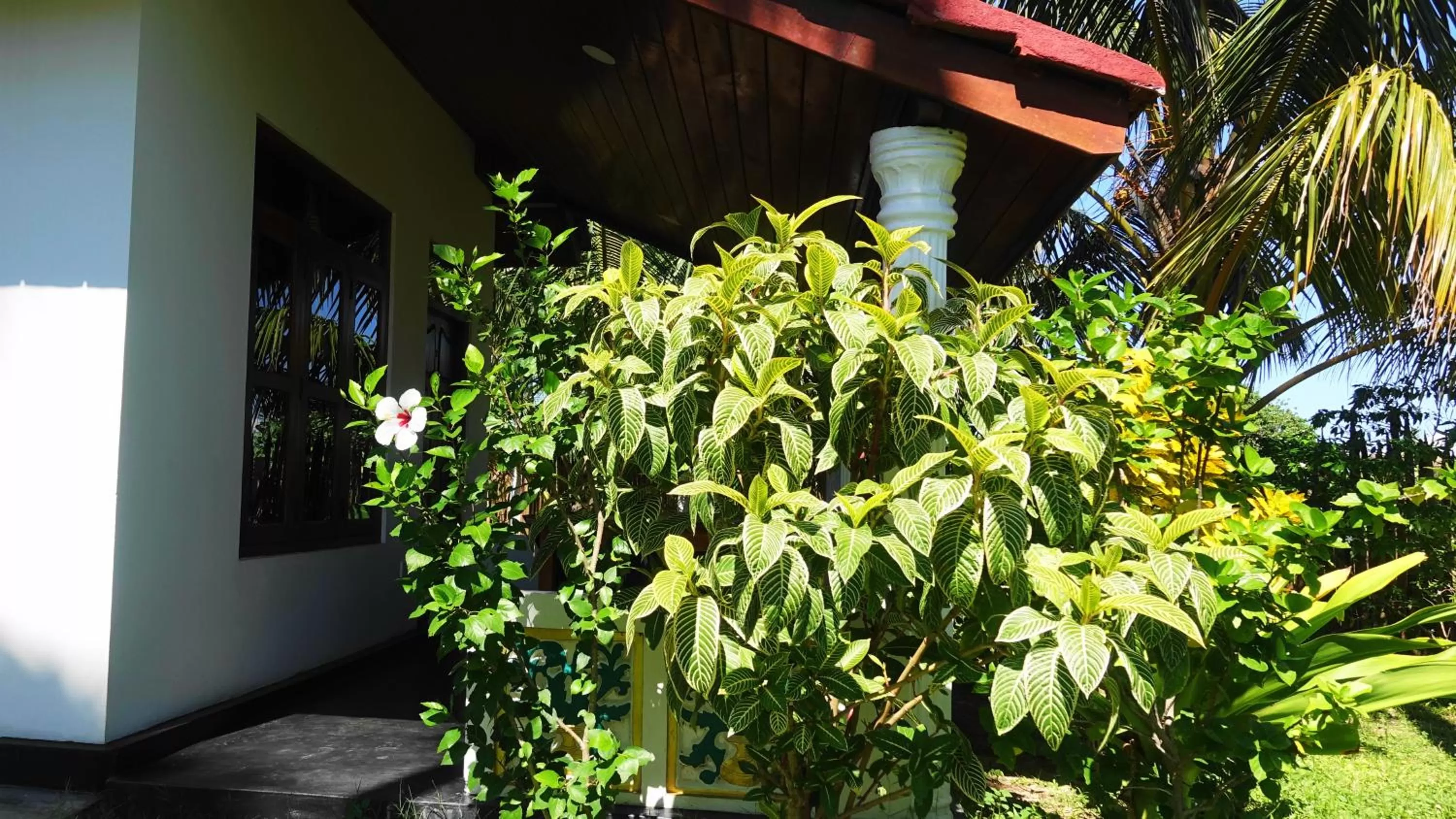 Garden, Property Building in Regina Beach Bungalow