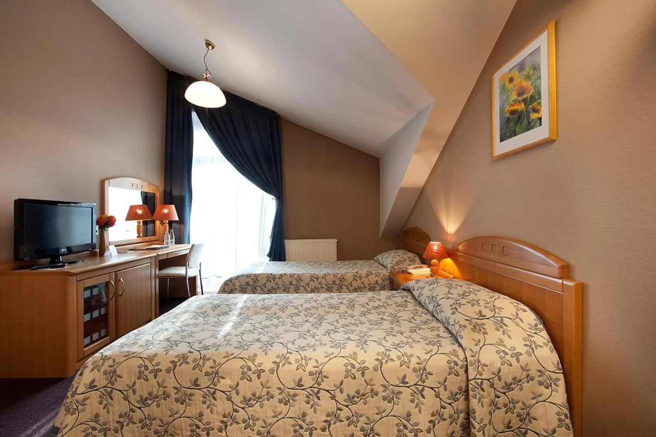 TV and multimedia in Blue Swan