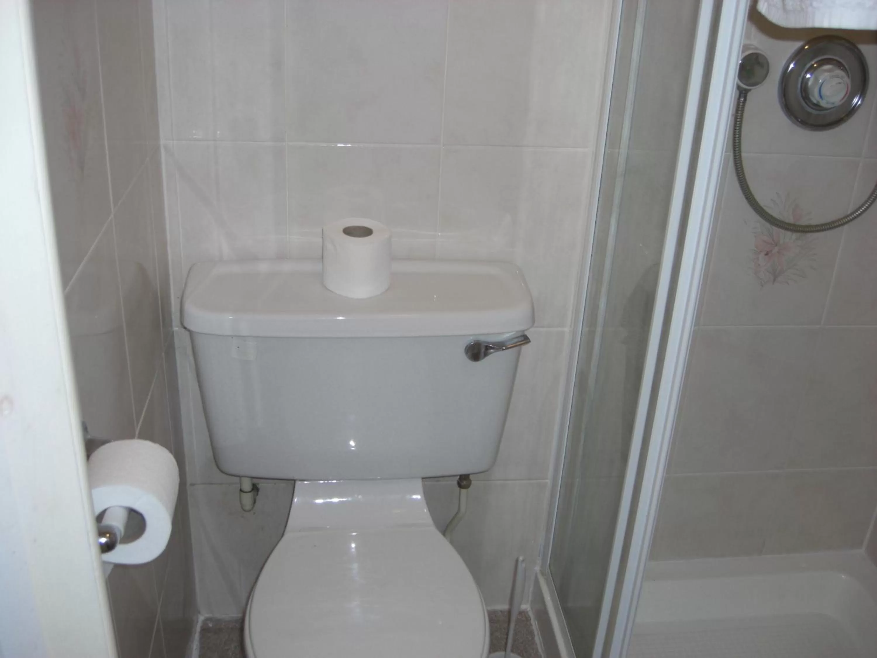 Toilet in Lynebank House Hotel, Bed & Breakfast