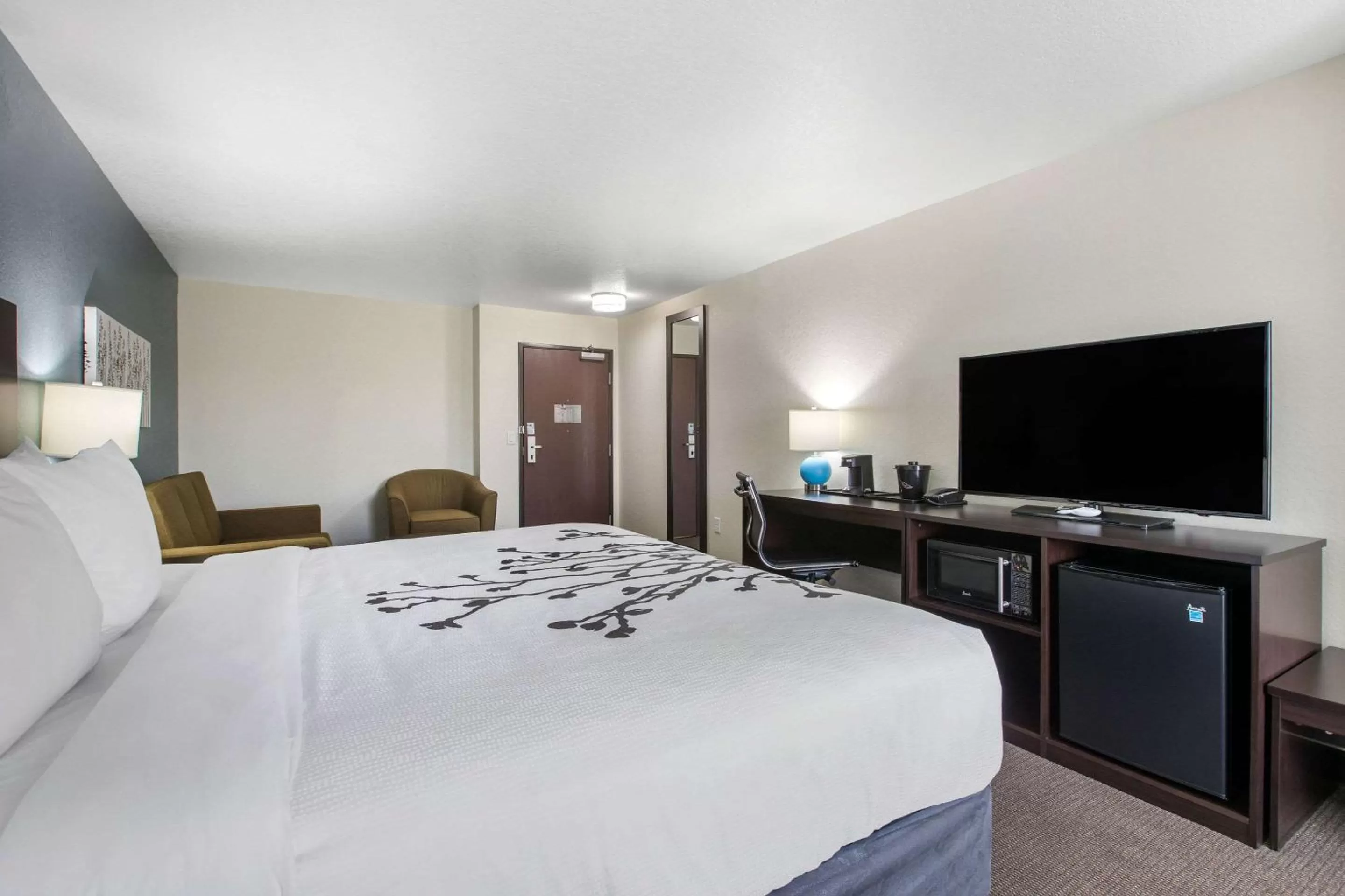Photo of the whole room, Bed in Sleep Inn & Suites Ankeny - Des Moines