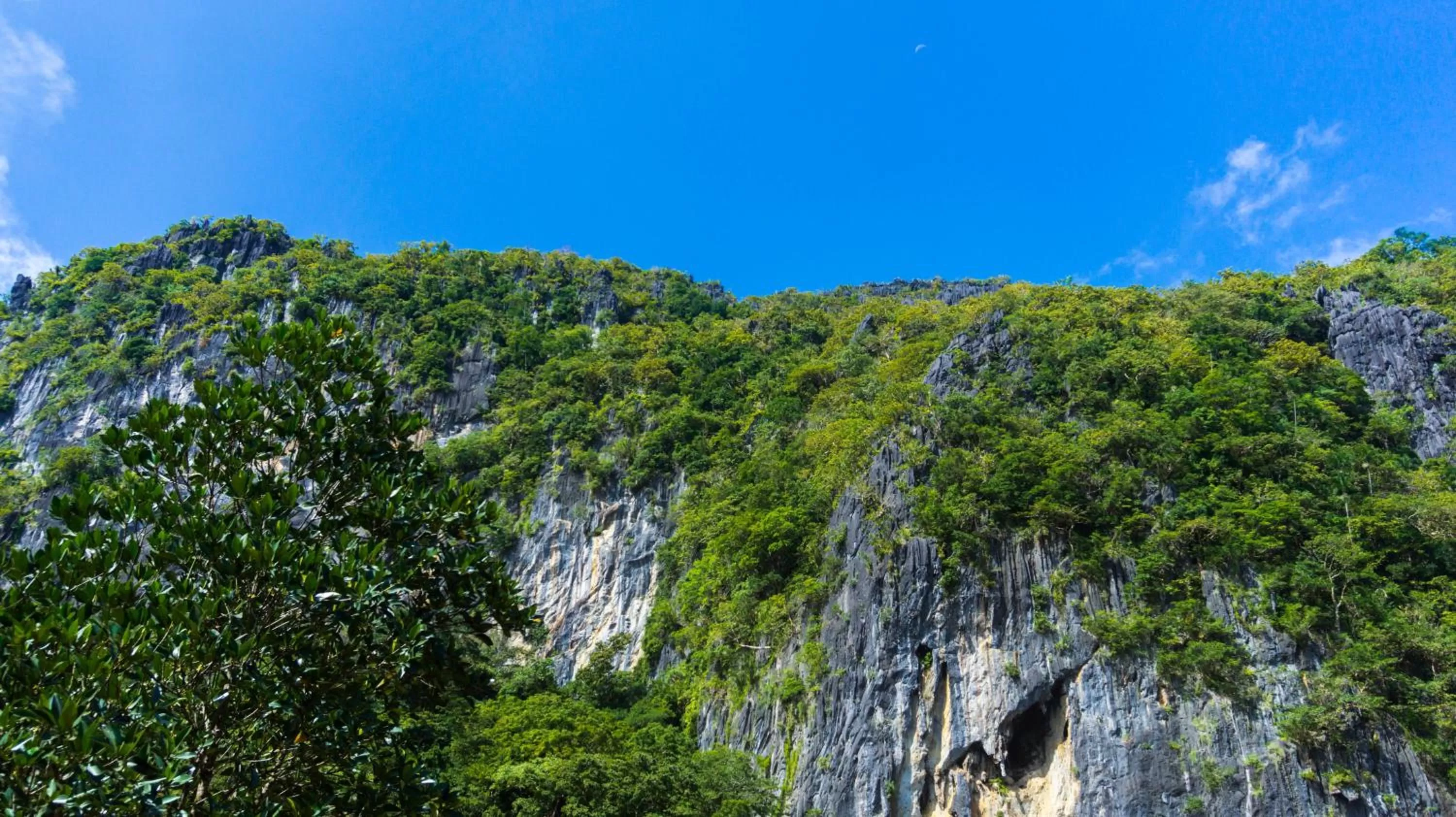 Mountain view in Focus Rooms