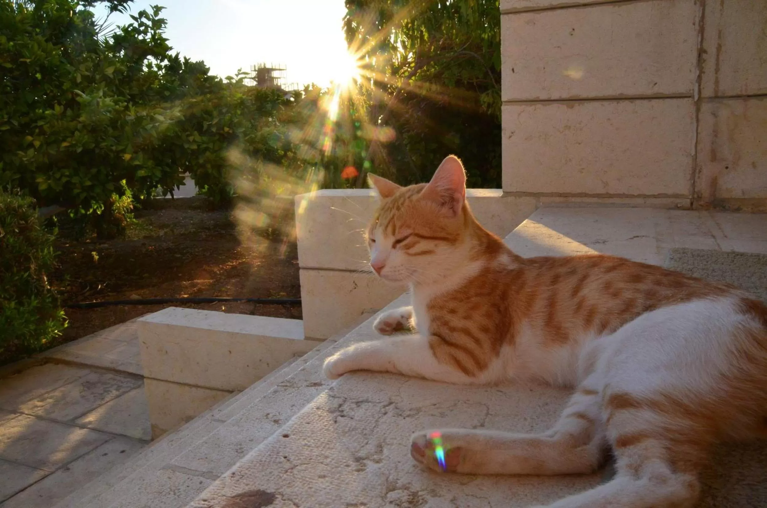 Facade/entrance in Auberg-Inn Guesthouse