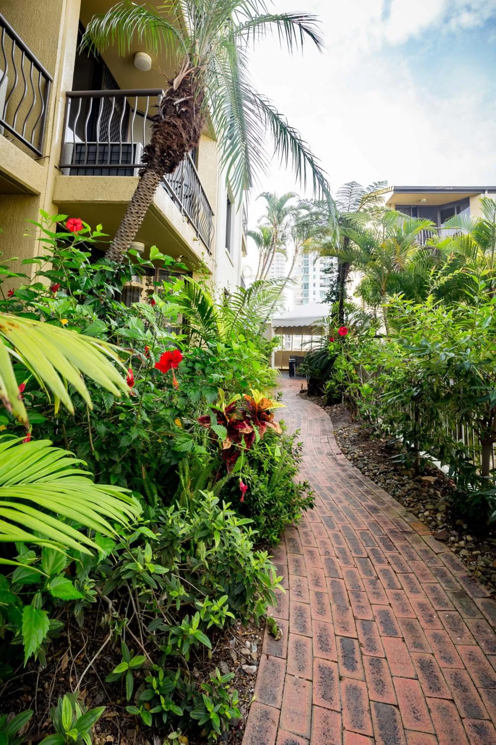 Garden in Aussie Resort