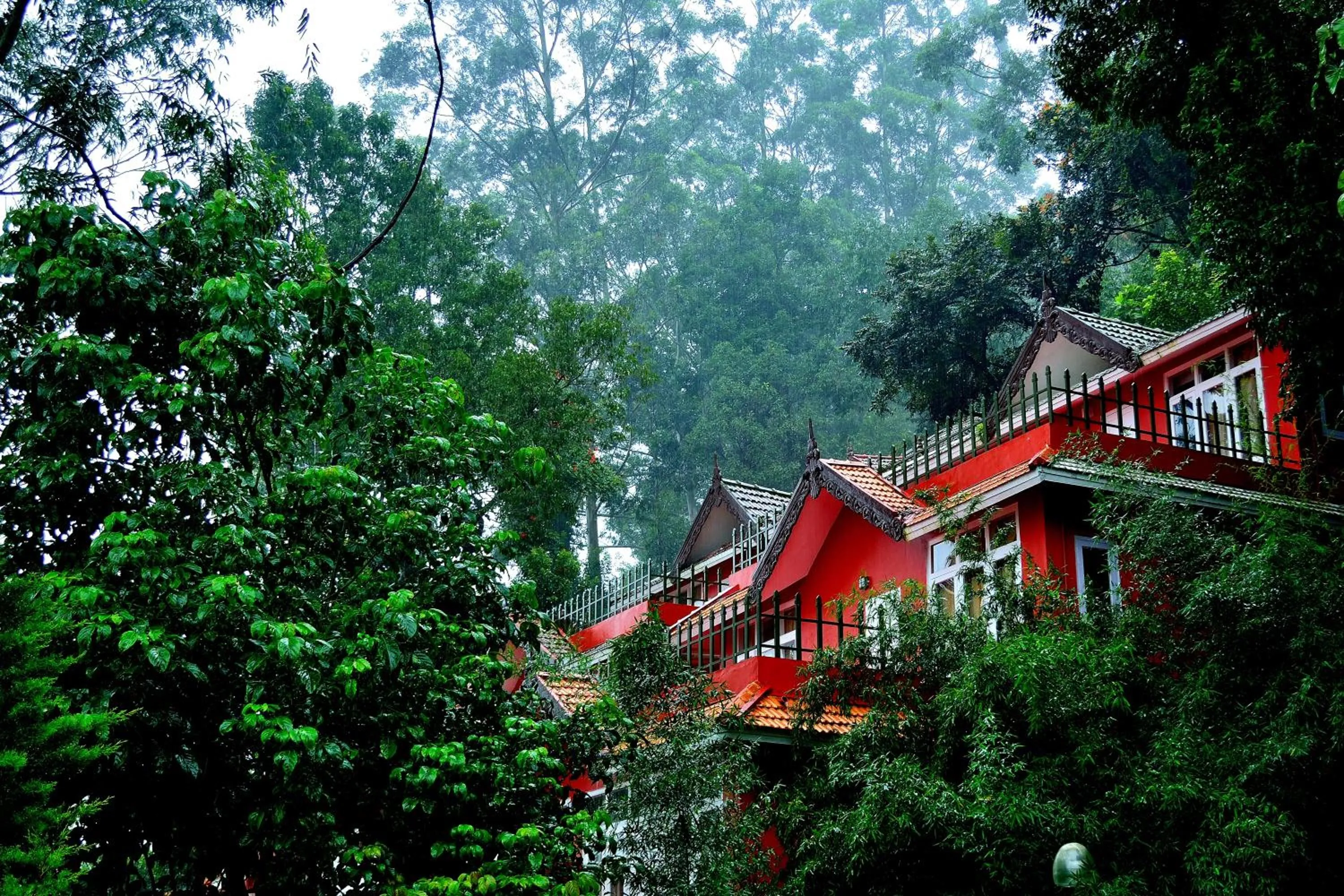 Property building in Tea Valley Resort, Munnar