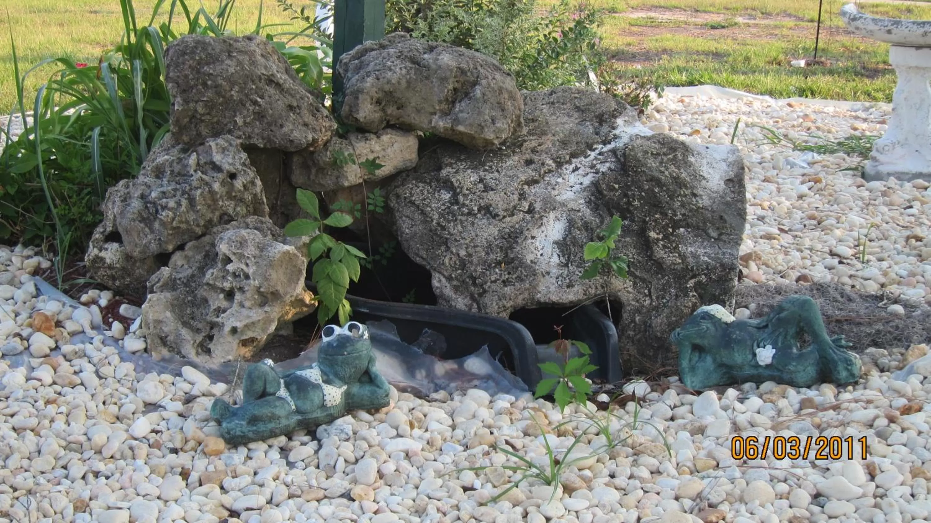 Natural landscape in High Springs Country Inn