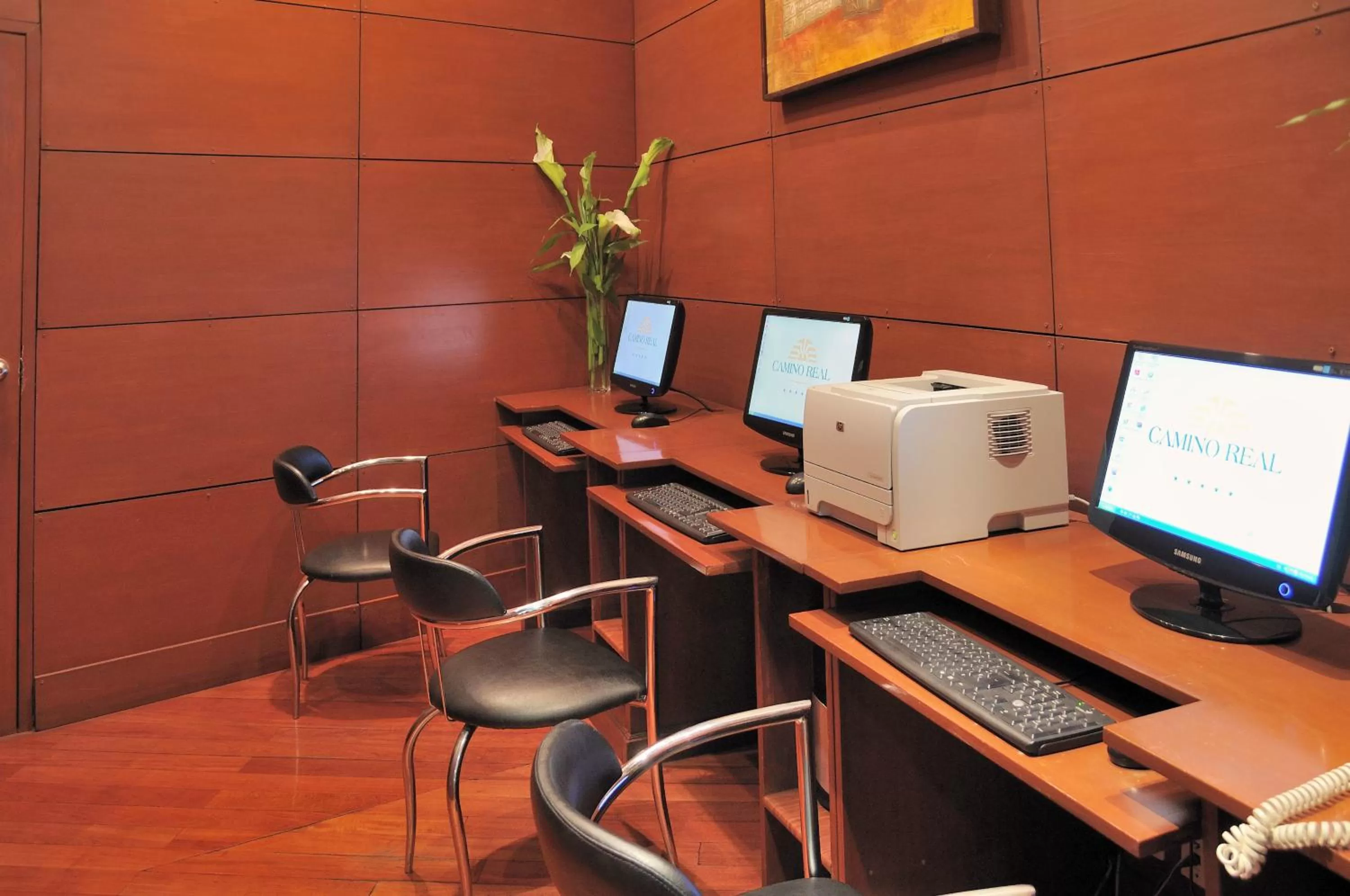 Business facilities in Suites Camino Real