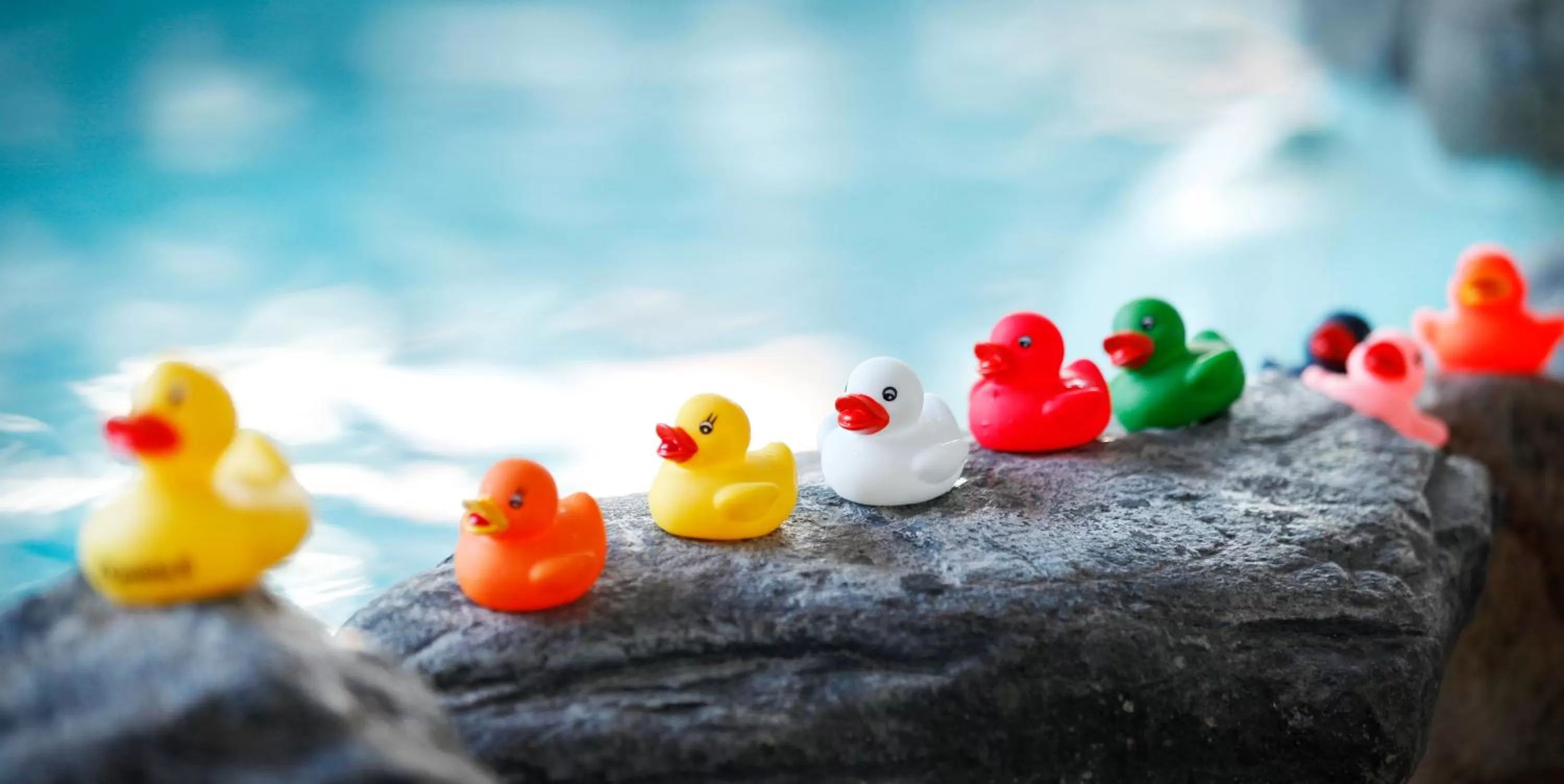 Other in Santa's Resort & Spa Hotel Sani