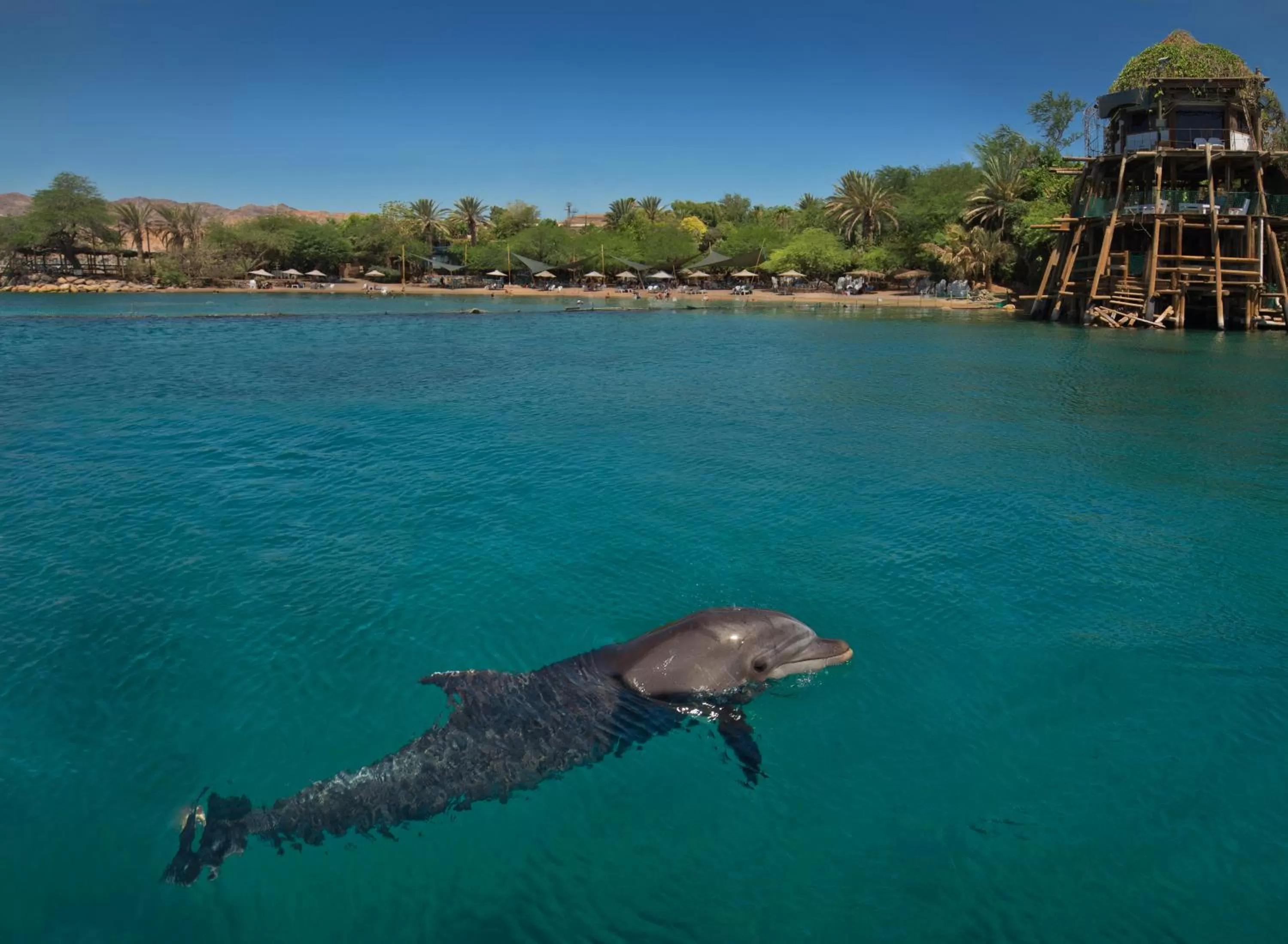 Area and facilities in Dan Panorama Eilat