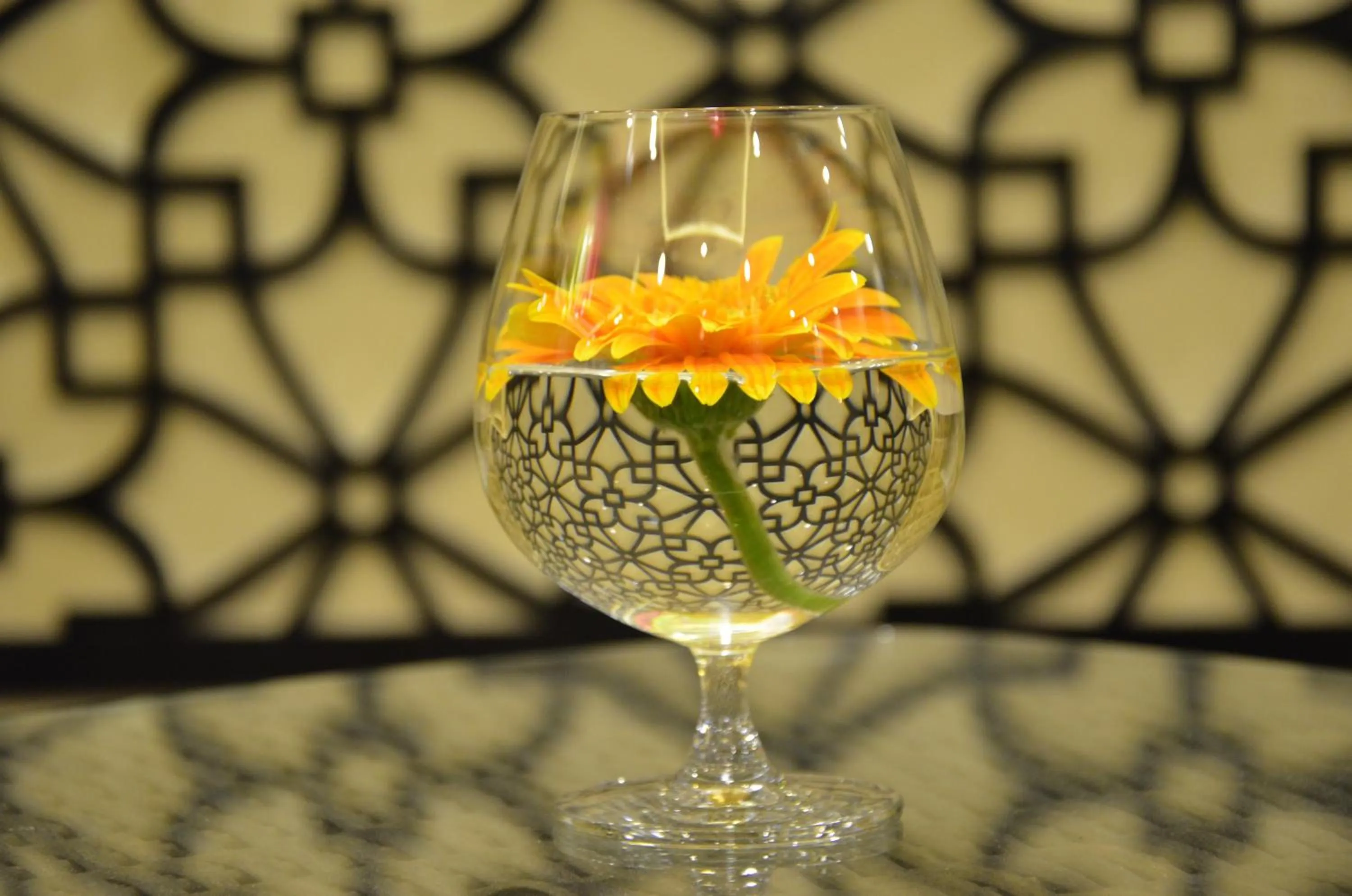 Restaurant/places to eat in River Suites Hoi An