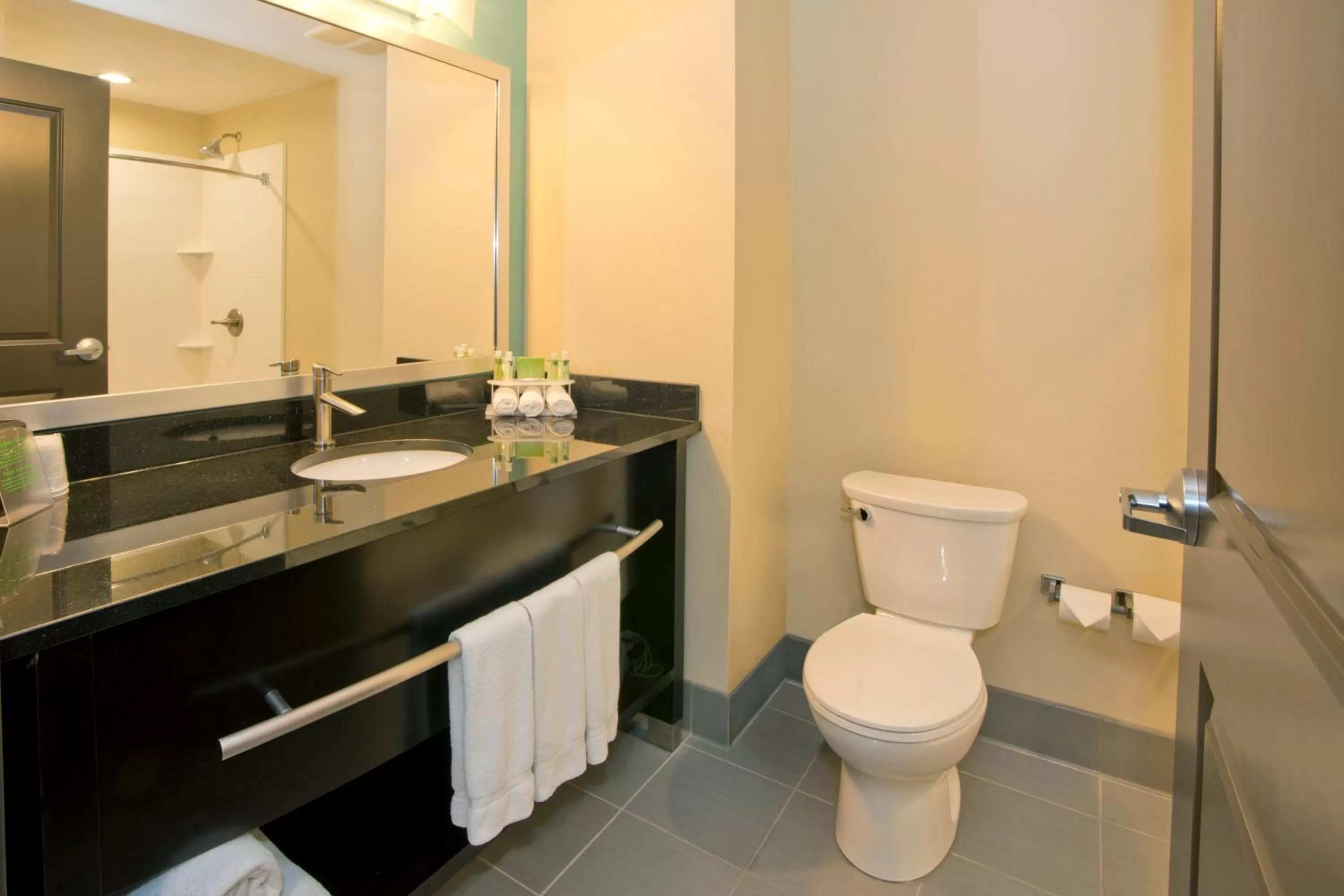 Bathroom in Holiday Inn Express & Suites Colorado Springs Central by IHG
