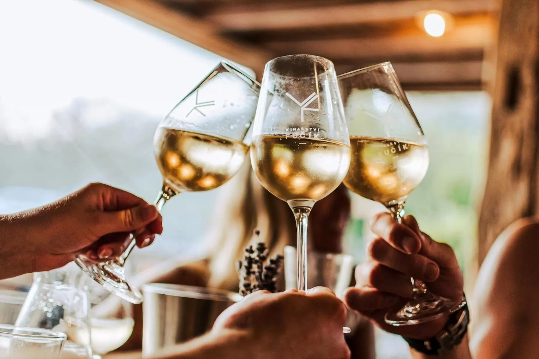 Restaurant/places to eat in Hotel Ryzlink