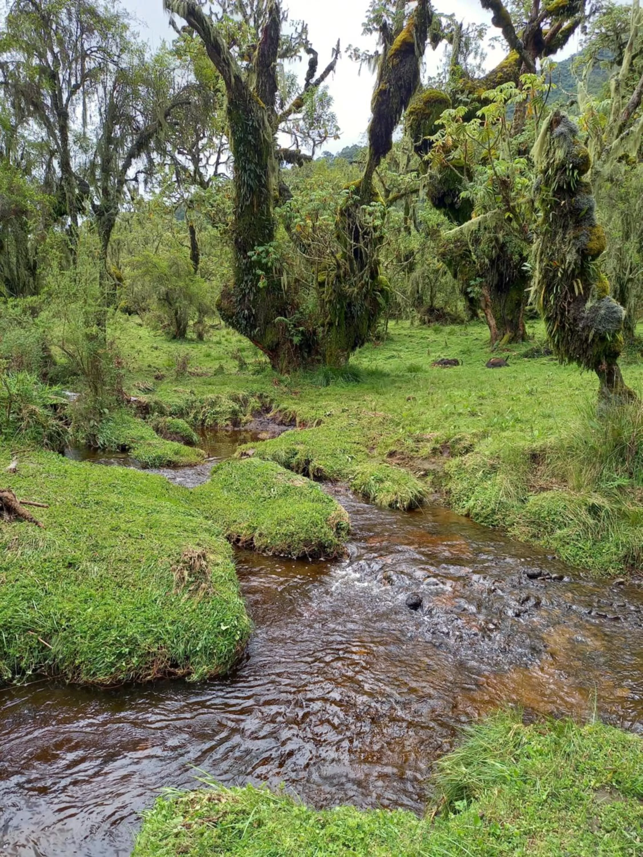 Day in Isange Paradise Resort