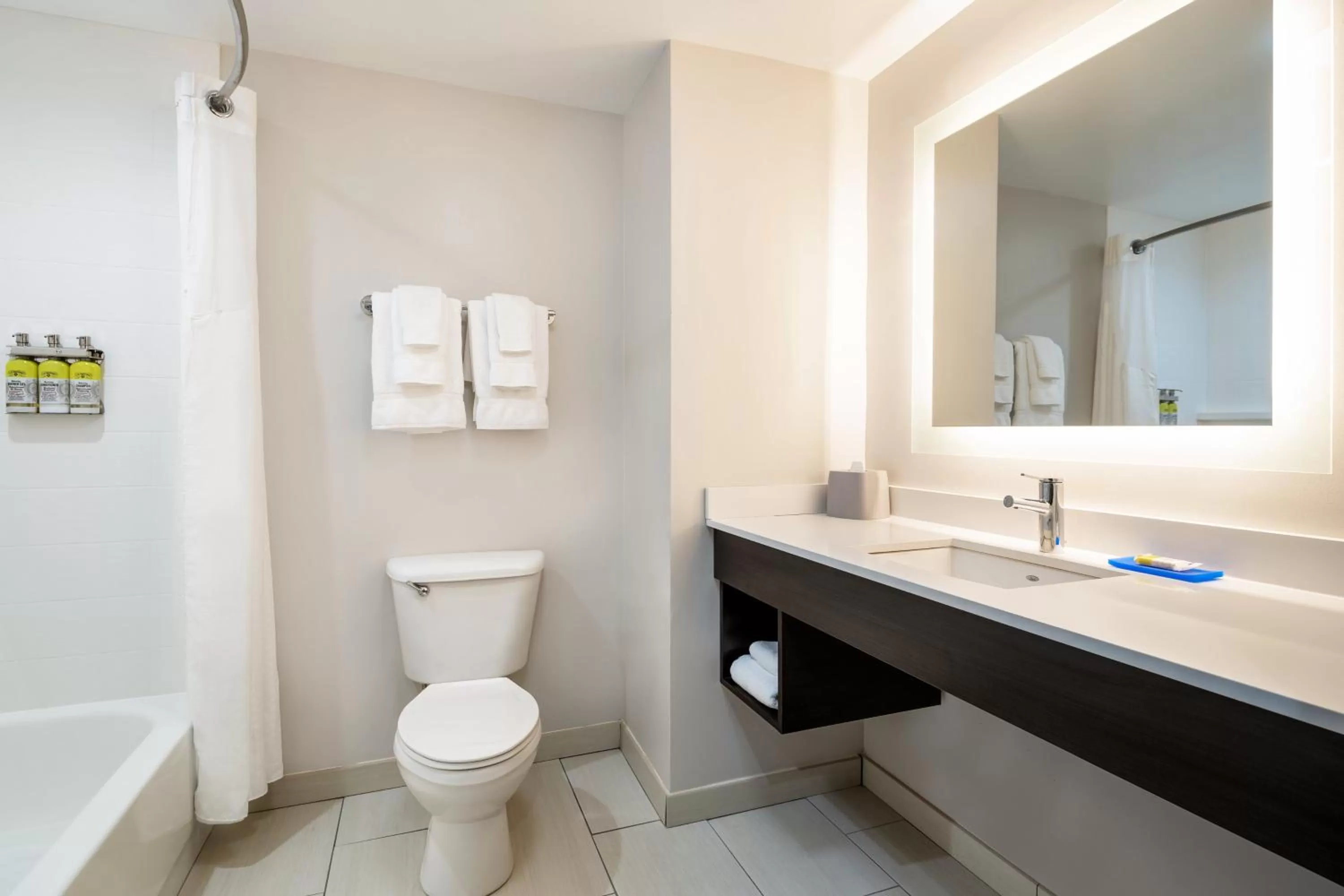 Bathroom in Holiday Inn Express & Suites Florence by IHG