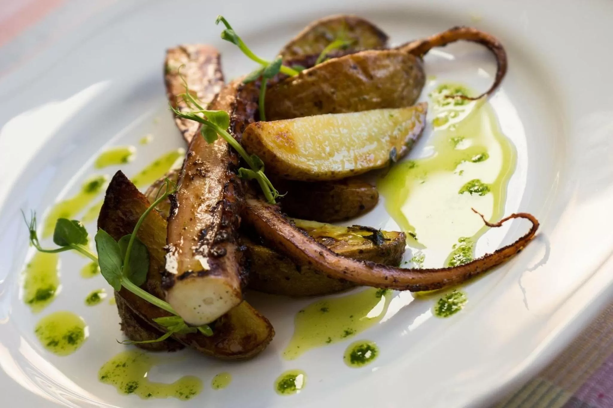 Food and drinks in Nest