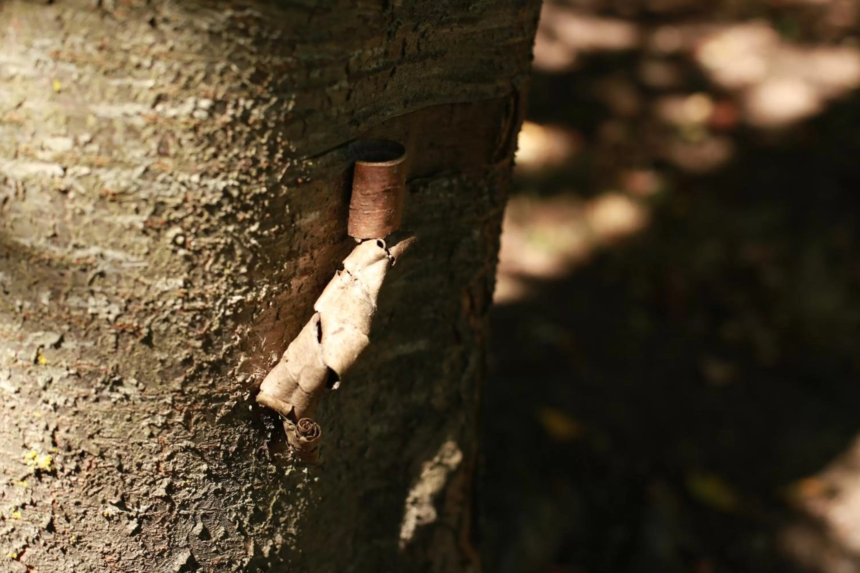 Property building in Les Rêves de Flamboin