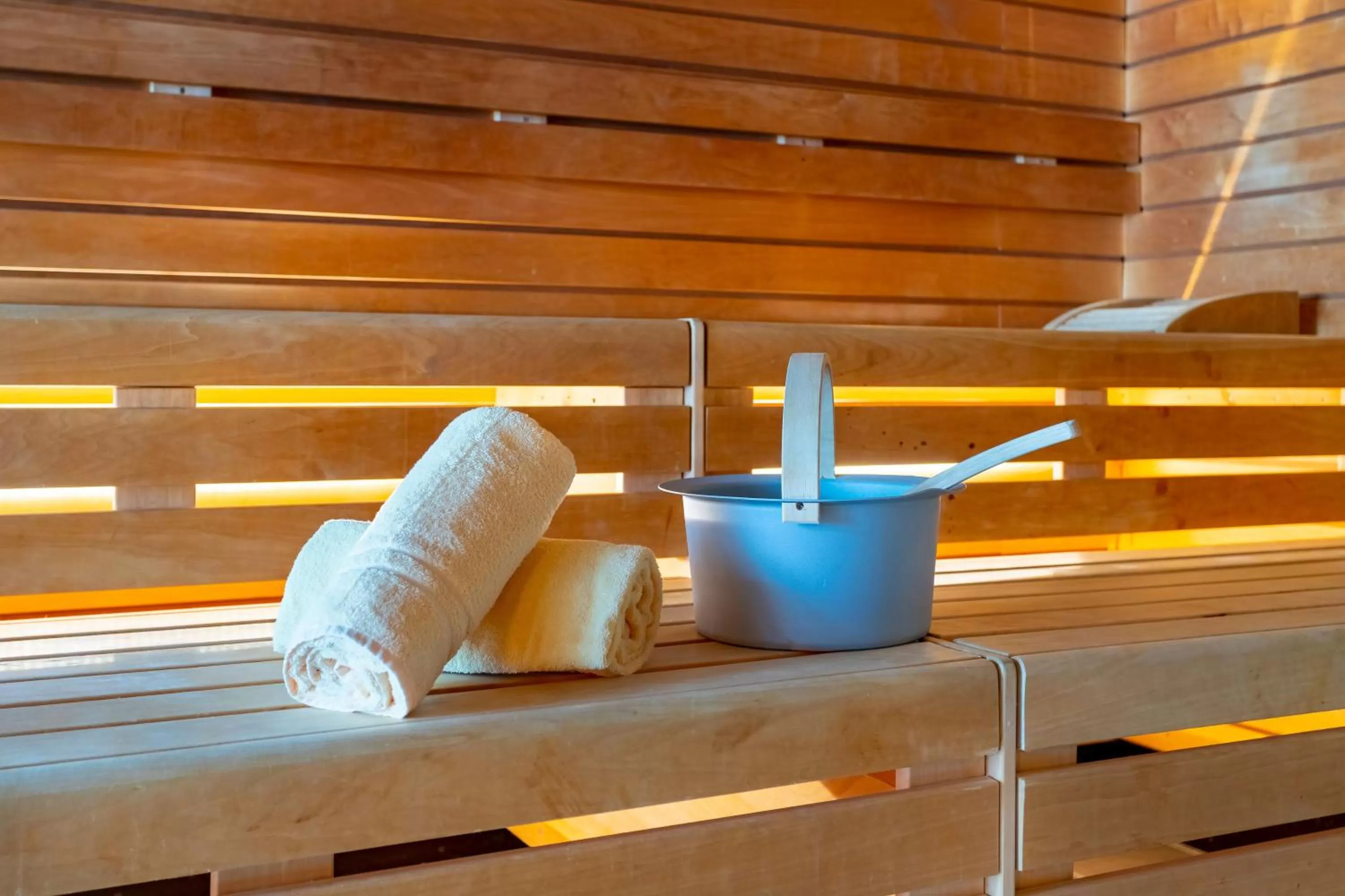 Sauna in Hotel Badehof