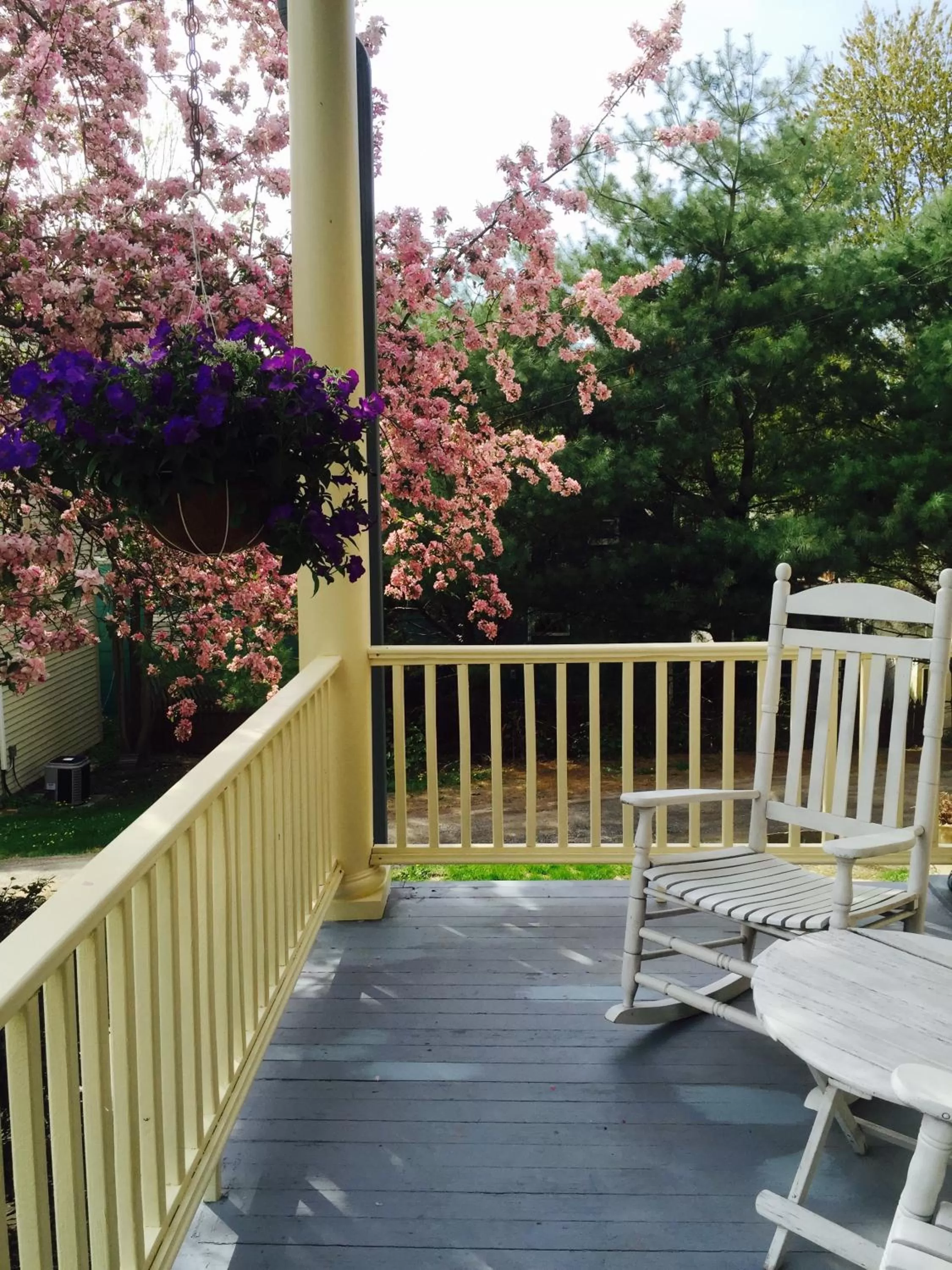 Patio, Balcony/Terrace in The Borland House Inn