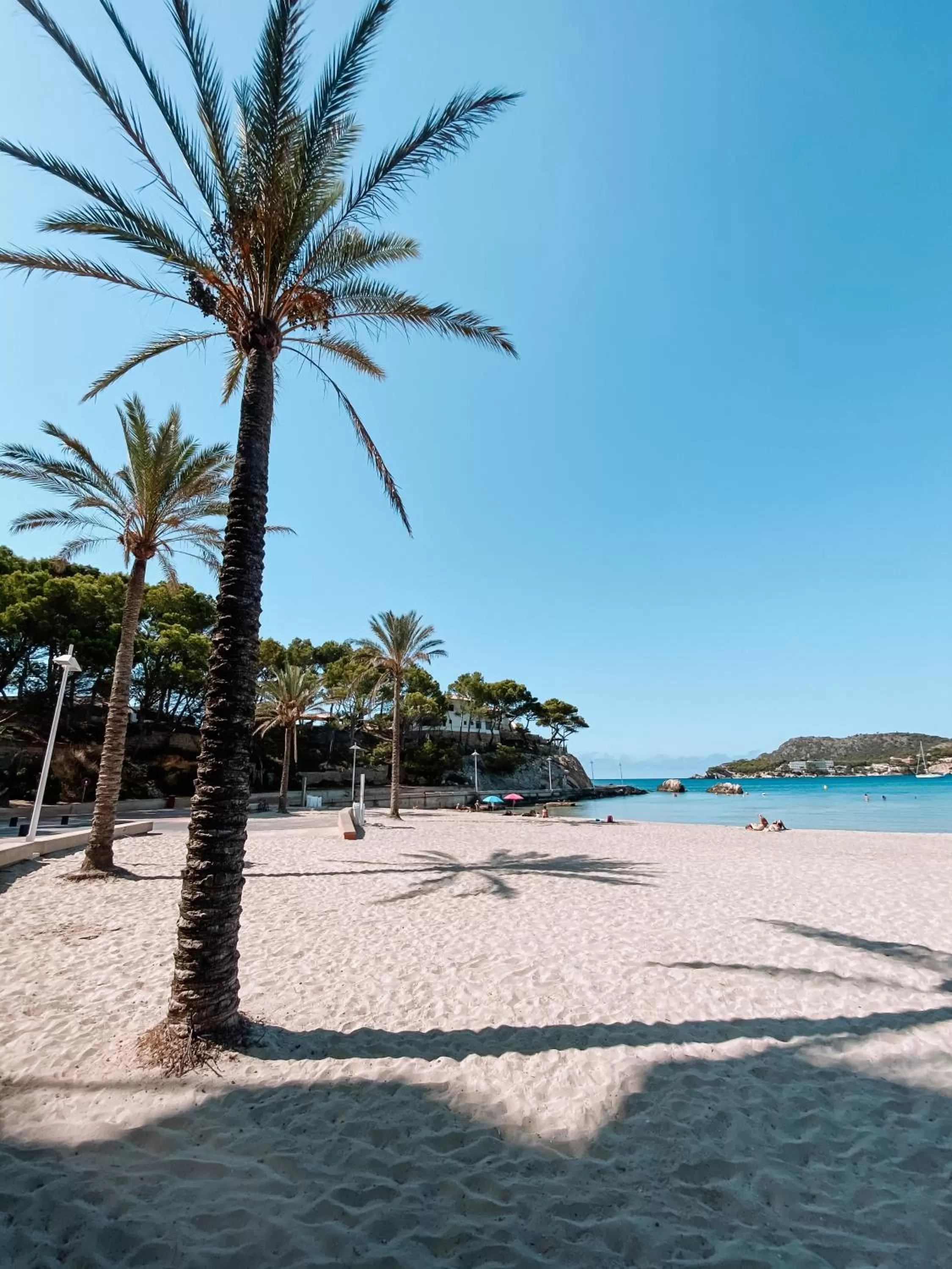 Beach in Paguera Treff Boutique Hotel