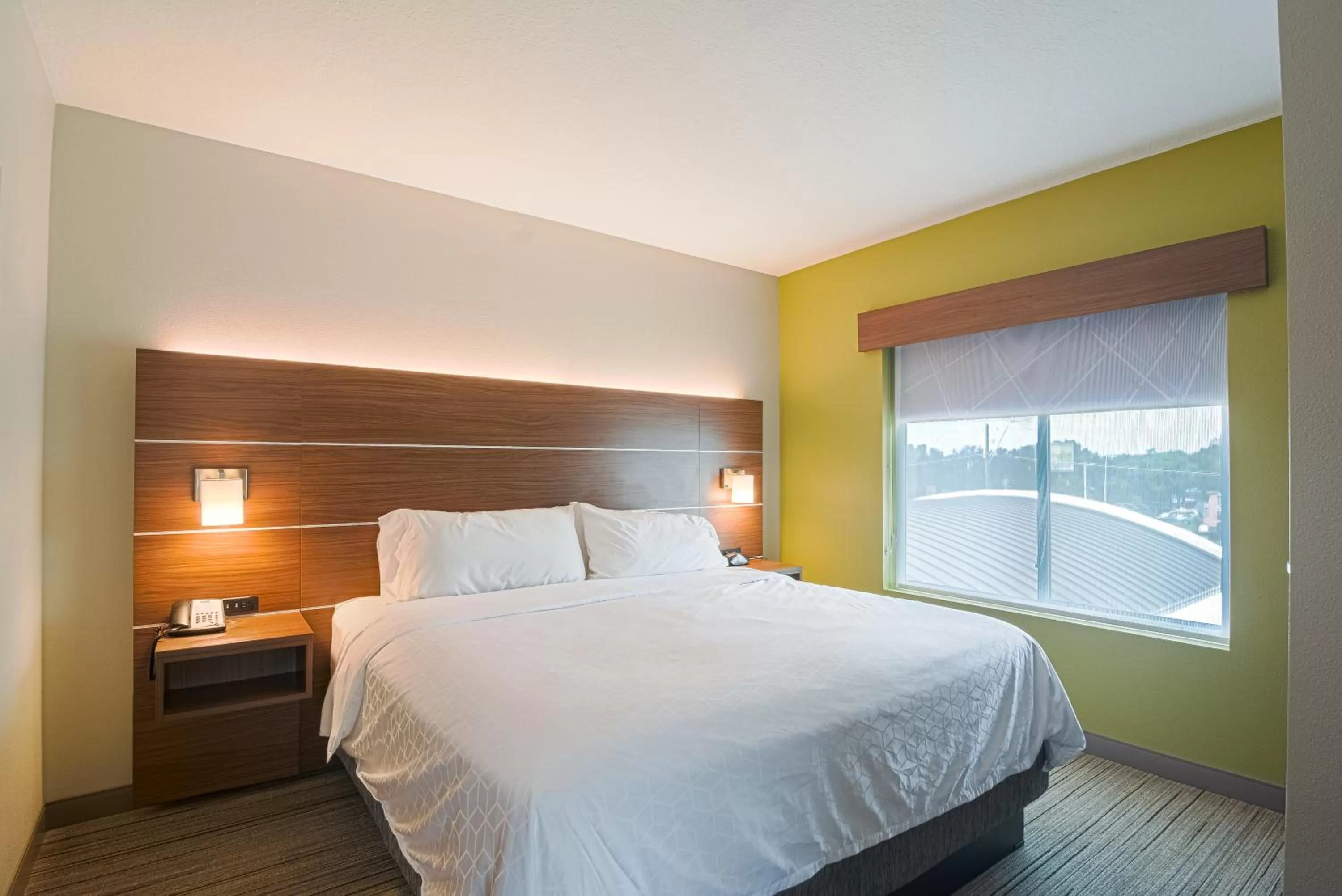 King Room - Hearing Accessible/Non-Smoking  in Holiday Inn Express Hotel & Suites Tampa-USF-Busch Gardens, an IHG Hotel