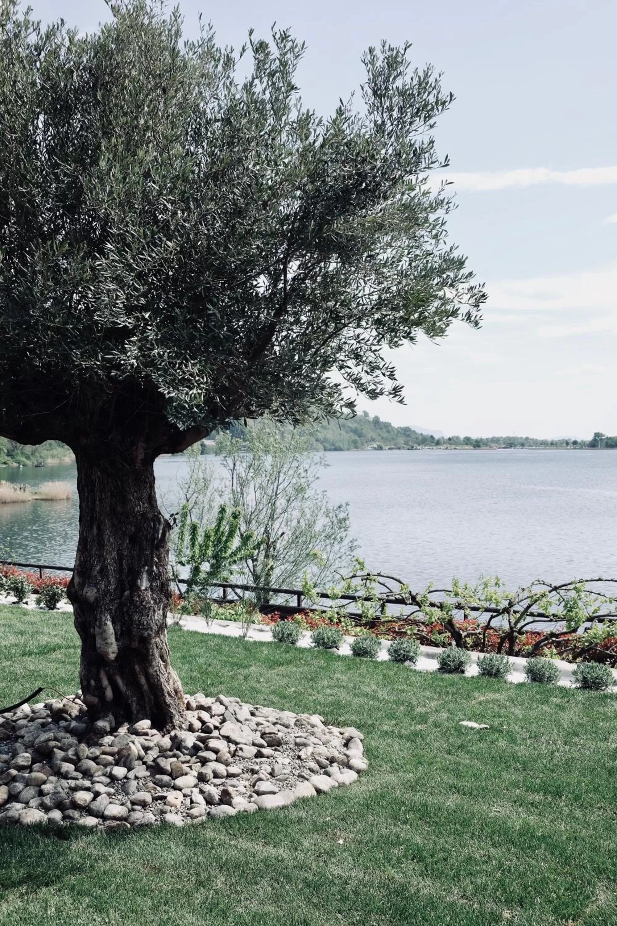 Fishing in Casa della Capra