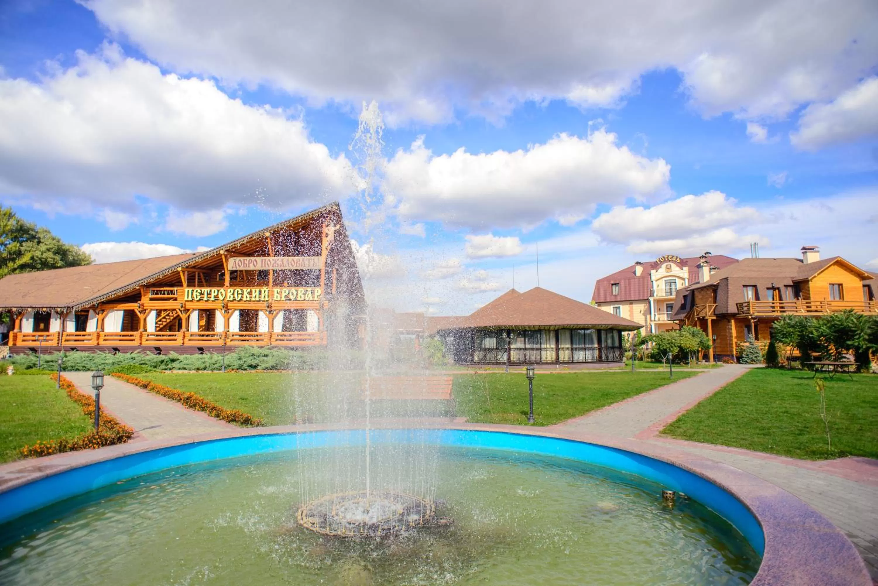 On site, Swimming Pool in Petrovskyi Brovar