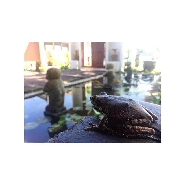 Lobby or reception in Thanya Beach Resort - SHA Plus