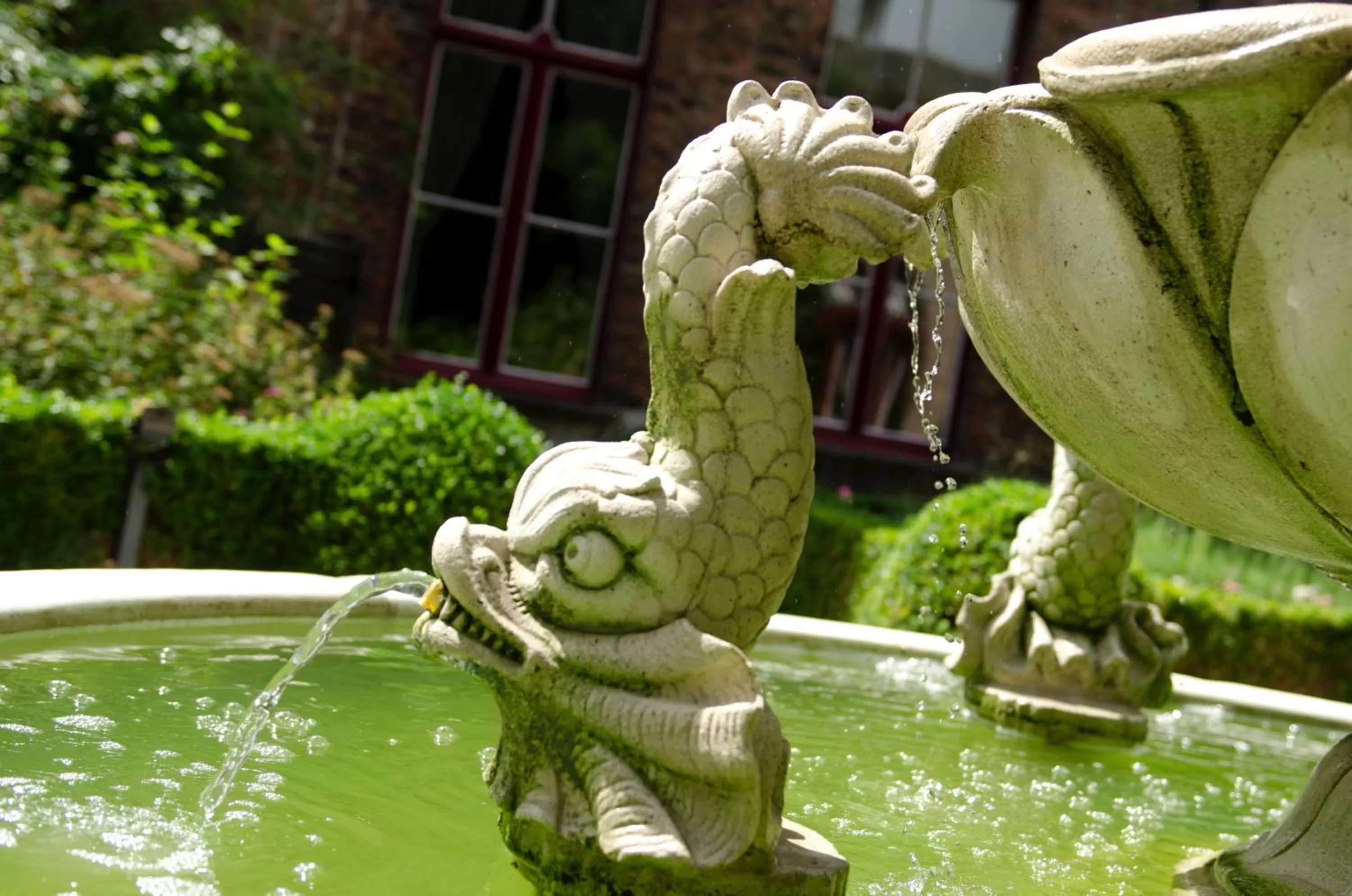 Garden in Hotel Jan Brito