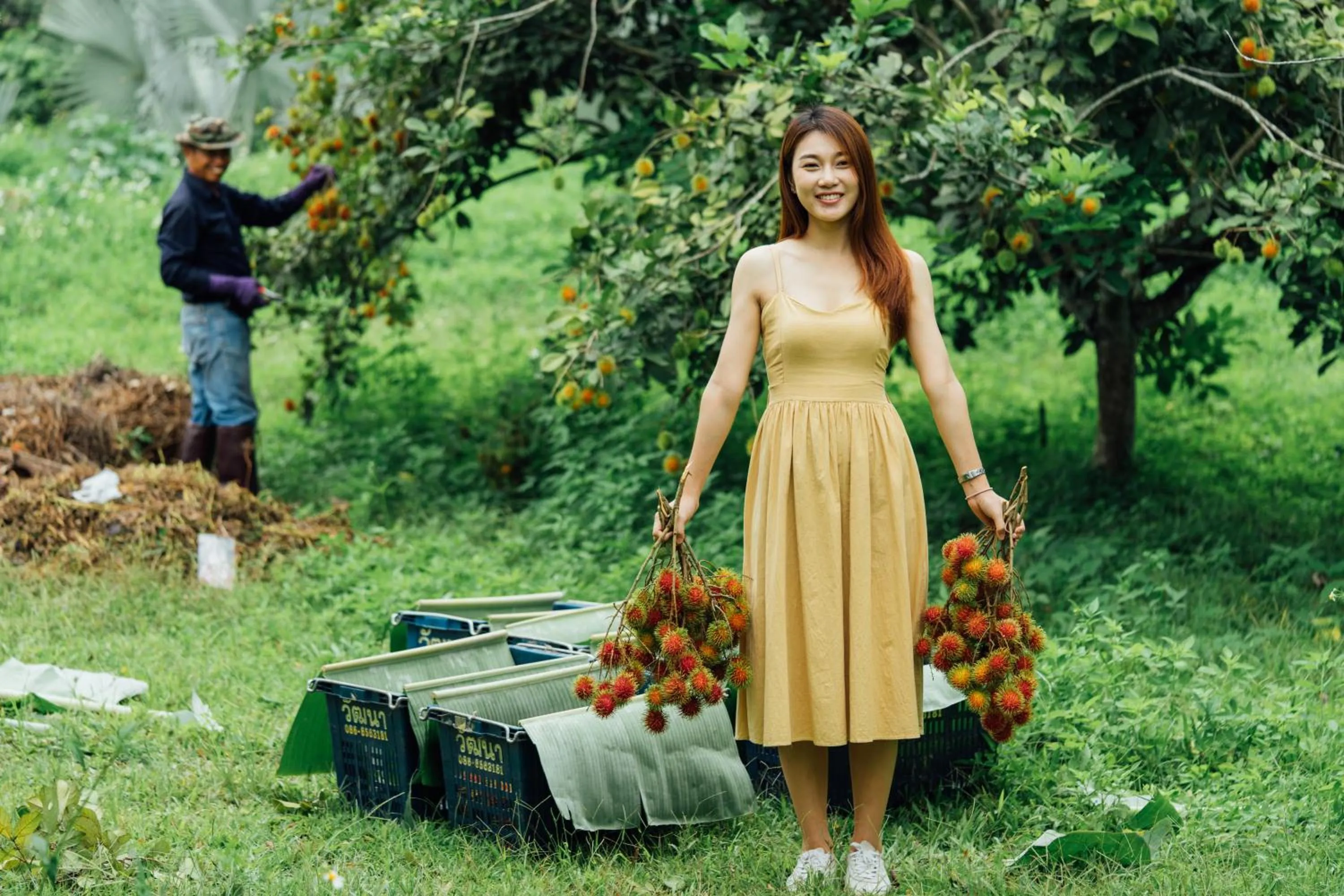 Garden in Bansaeo Garden and Resort
